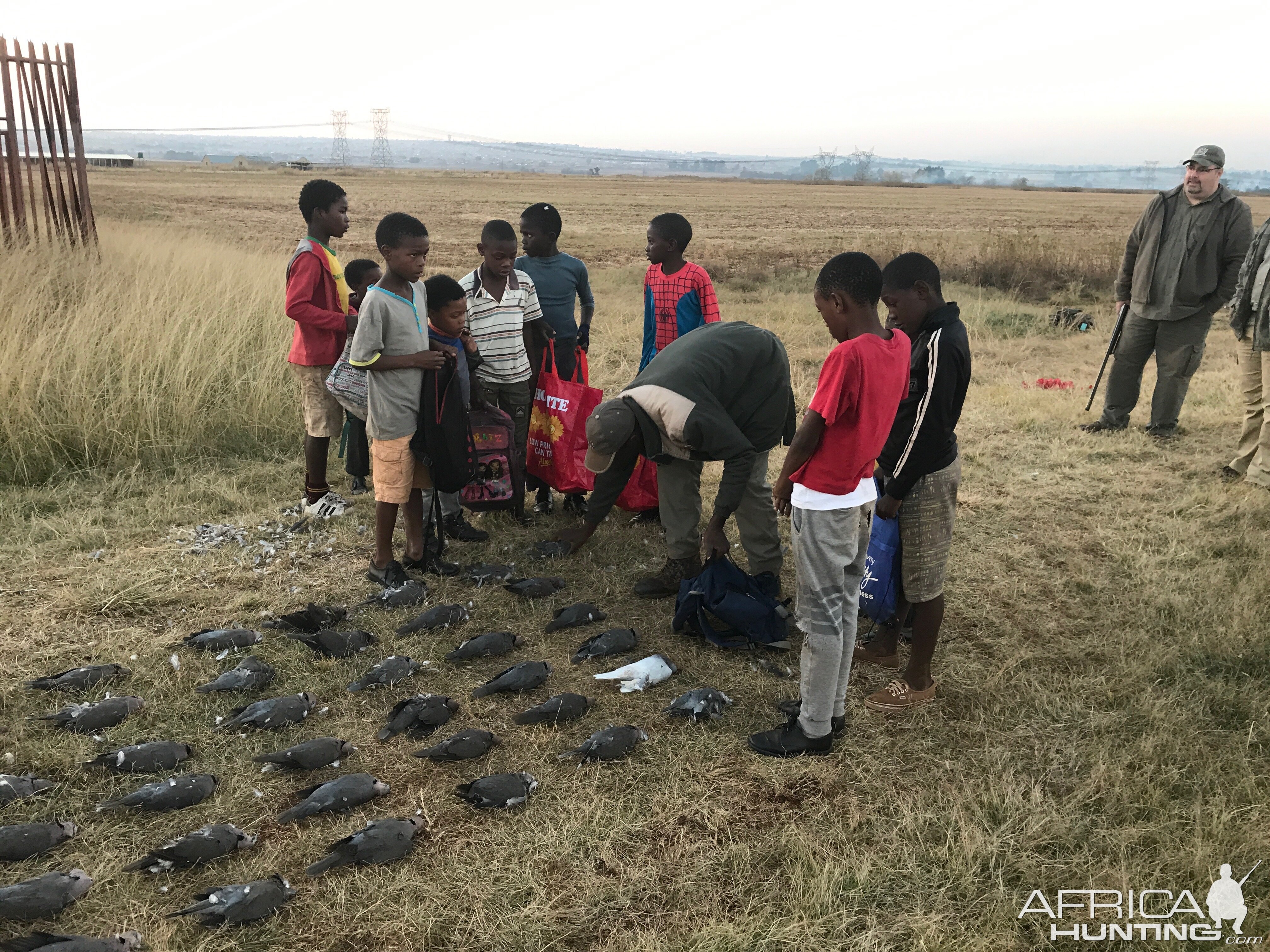 Doves Hunting South Africa