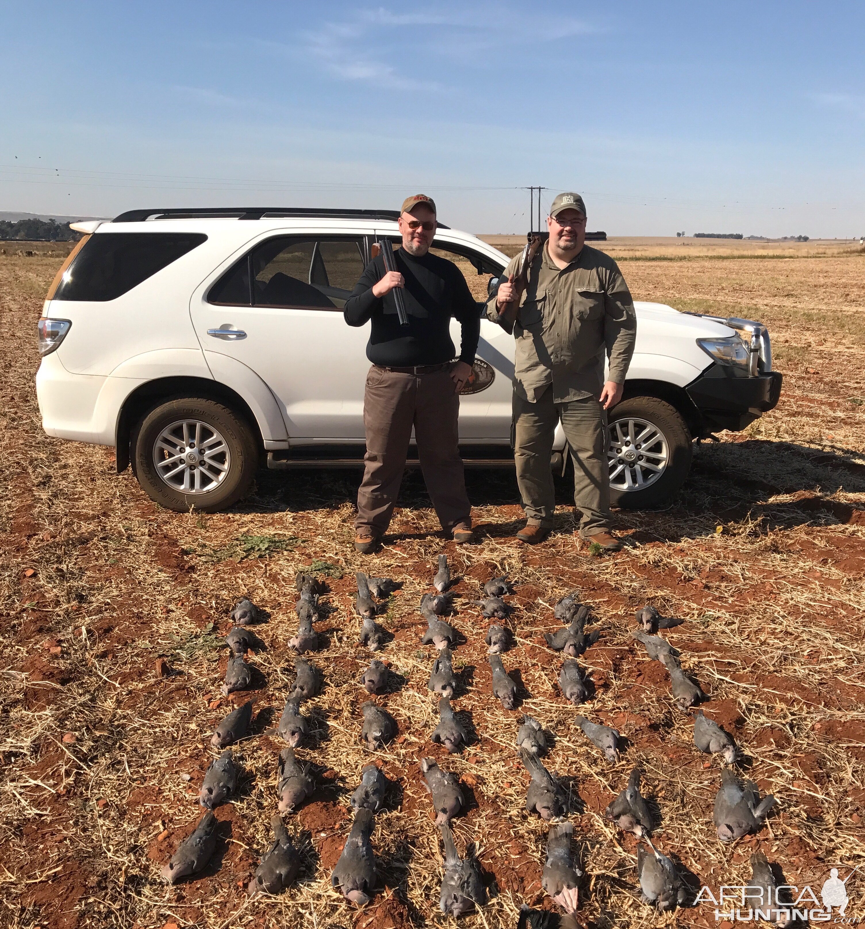 Doves South Africa Hunting