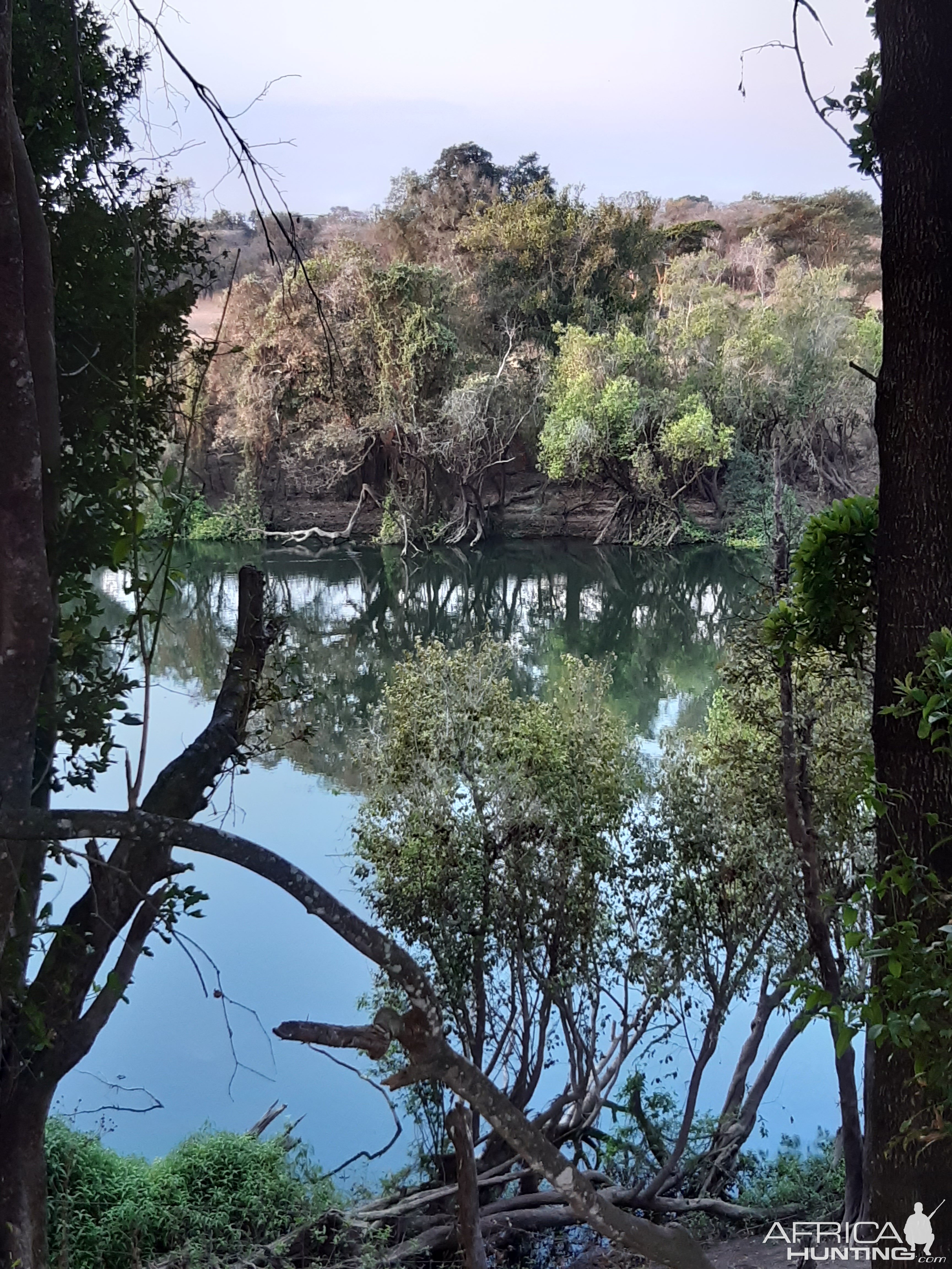 Down on the bank of the Kafue river Zambia