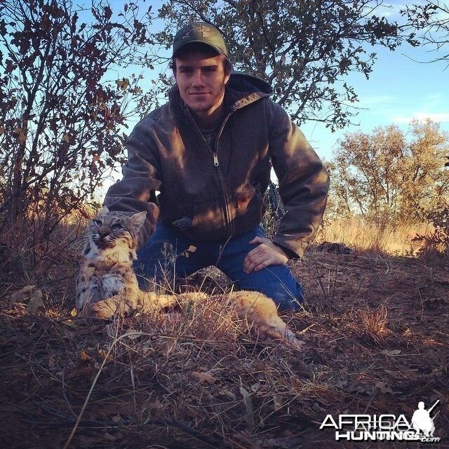 Drew got Tx bobcat