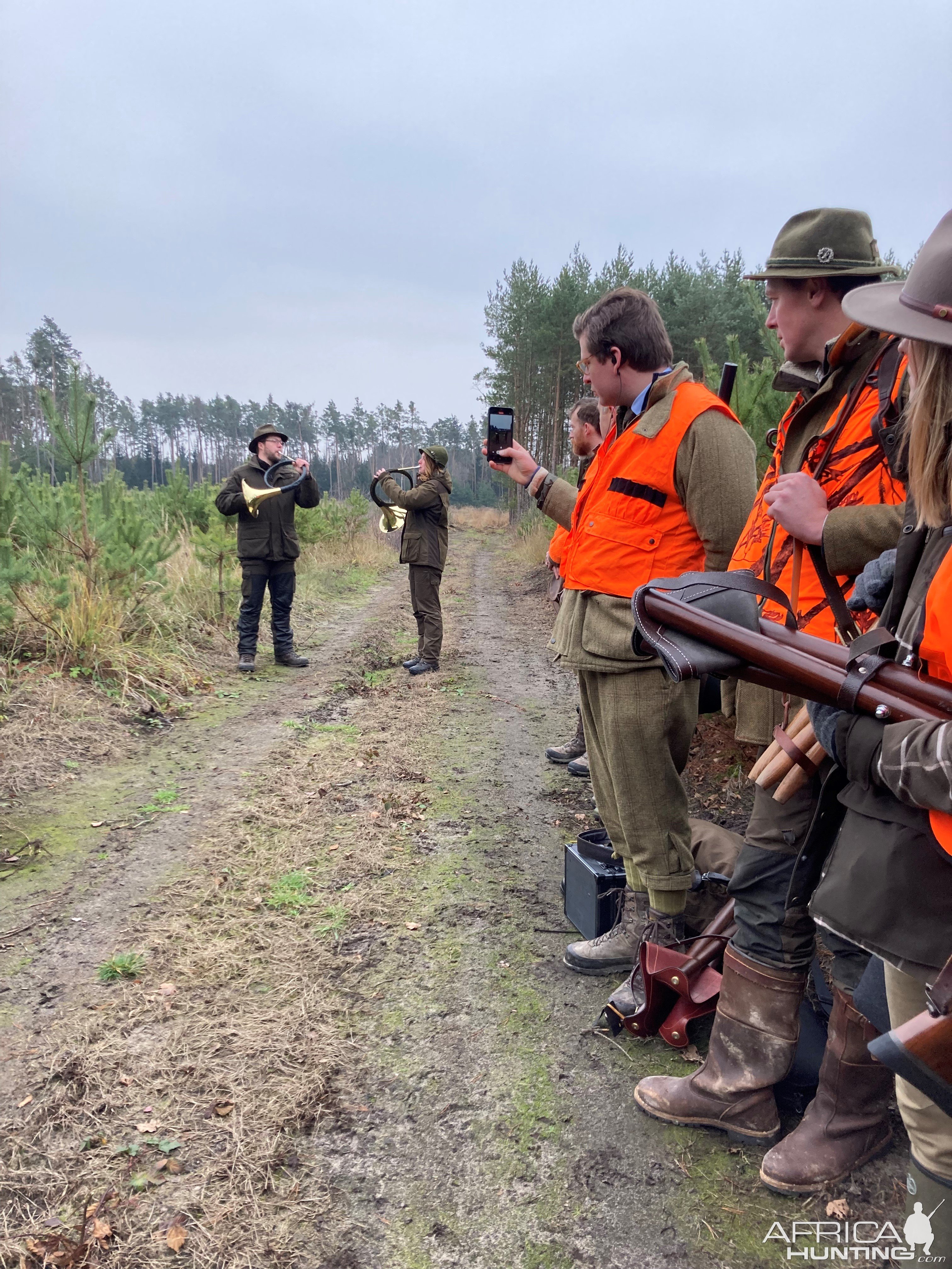 Driven Boar Hunt In Czech Republic