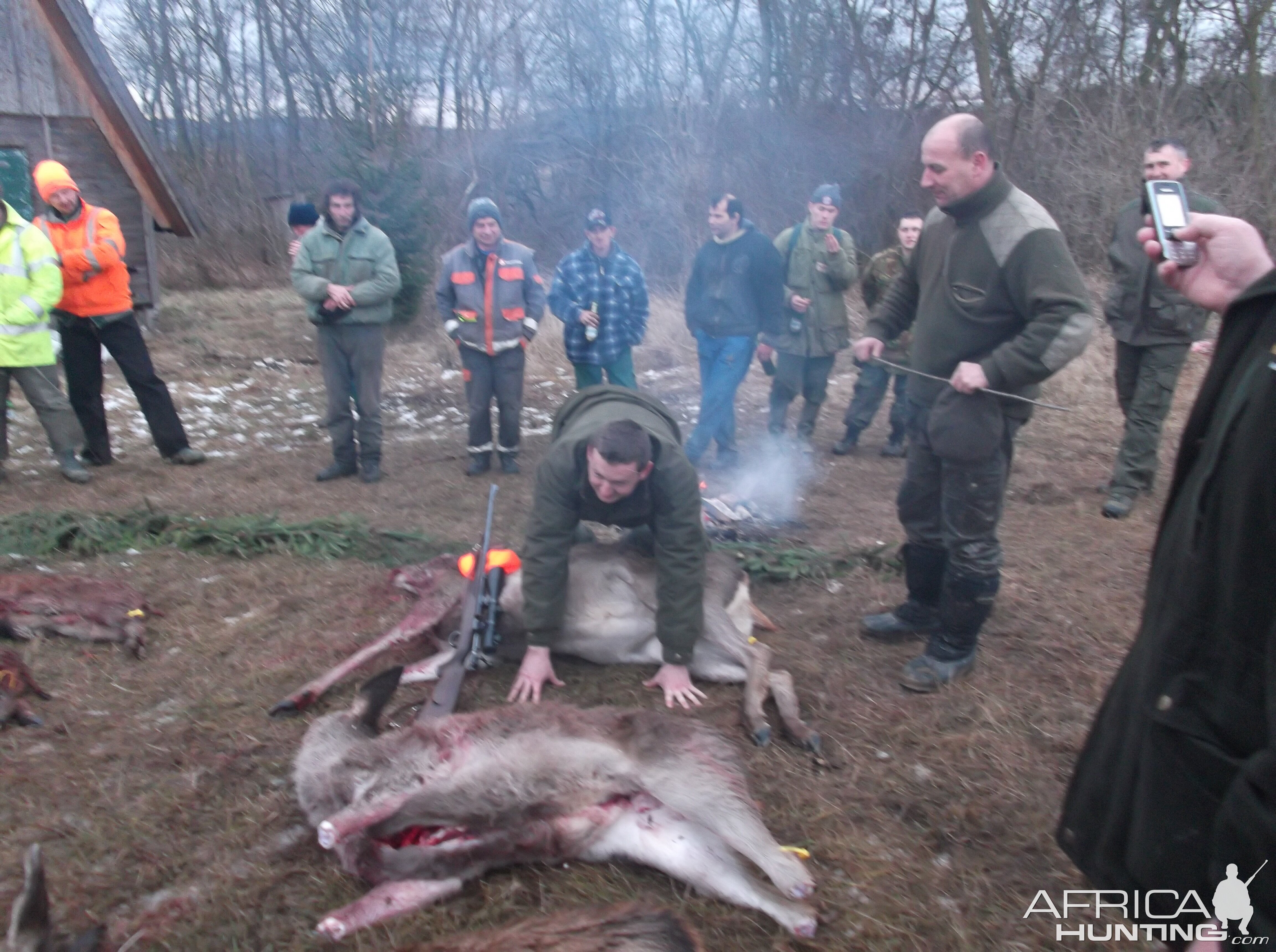 Driven hunt in Hungary.