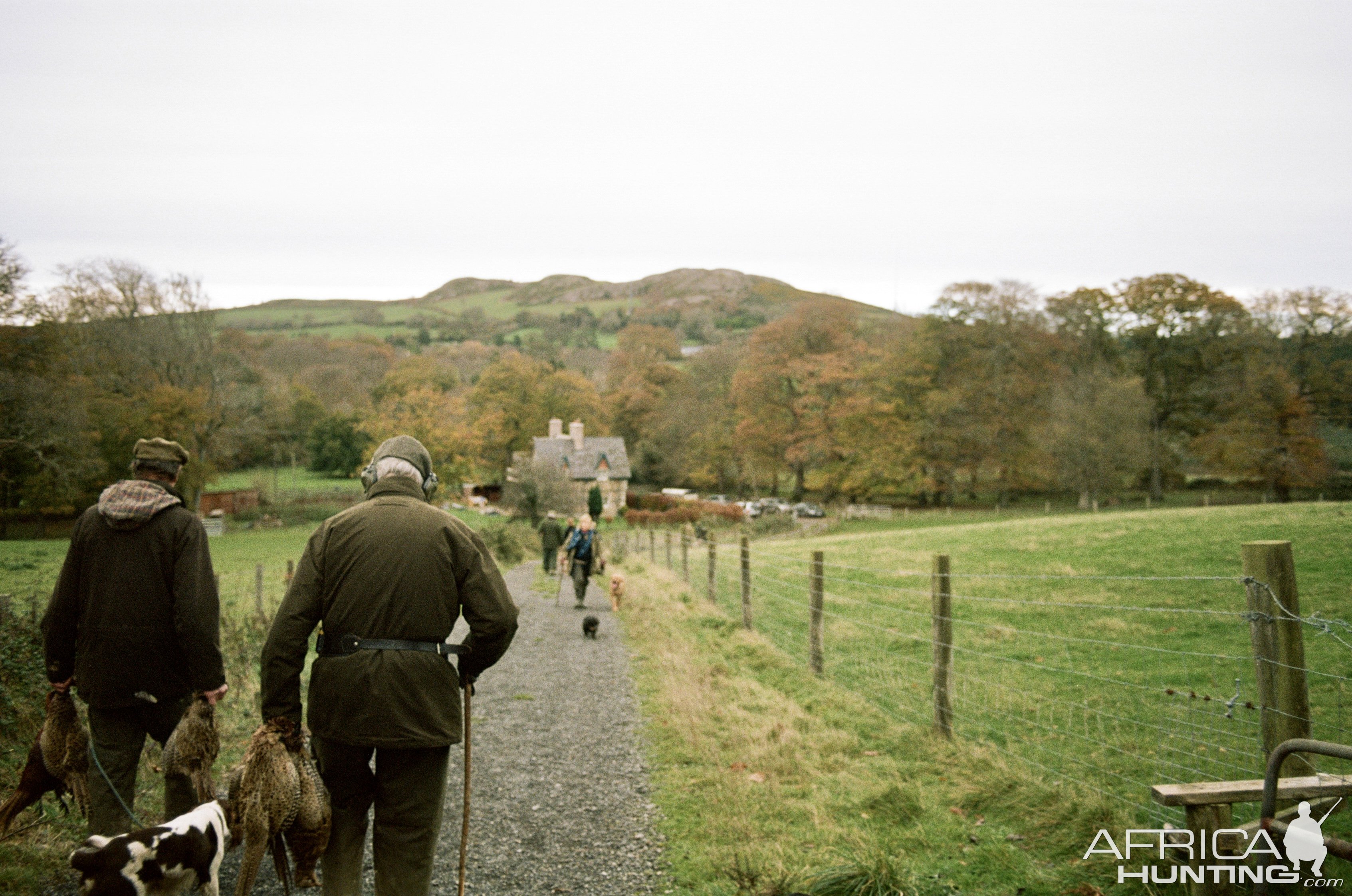 Driven Hunt Ireland