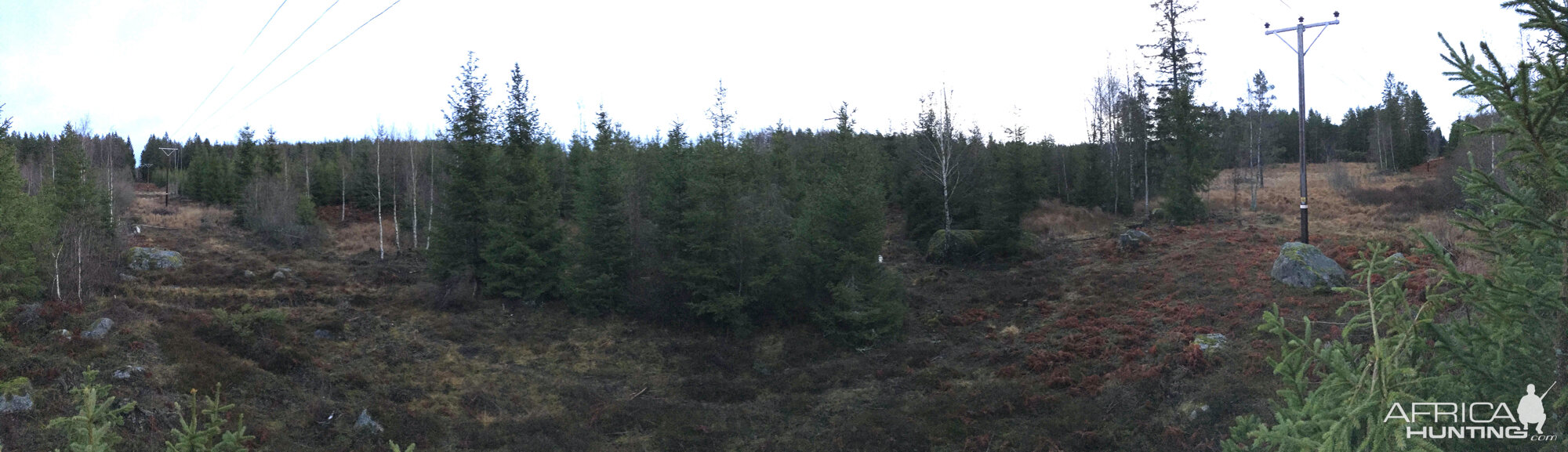 Driven Hunt Sweden