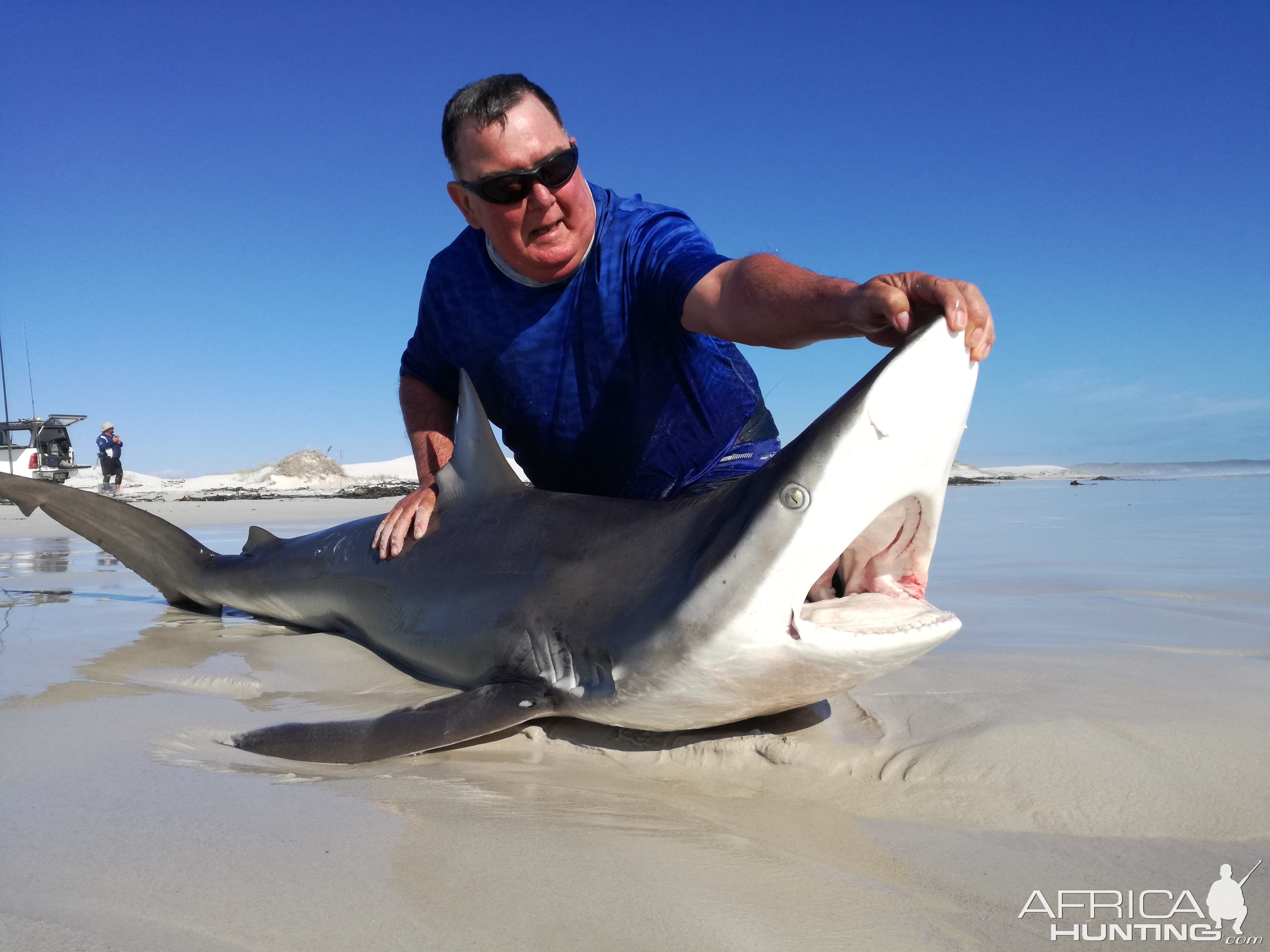 Drone-fishing for Bronze Whalers at Gansbaai, South Africa