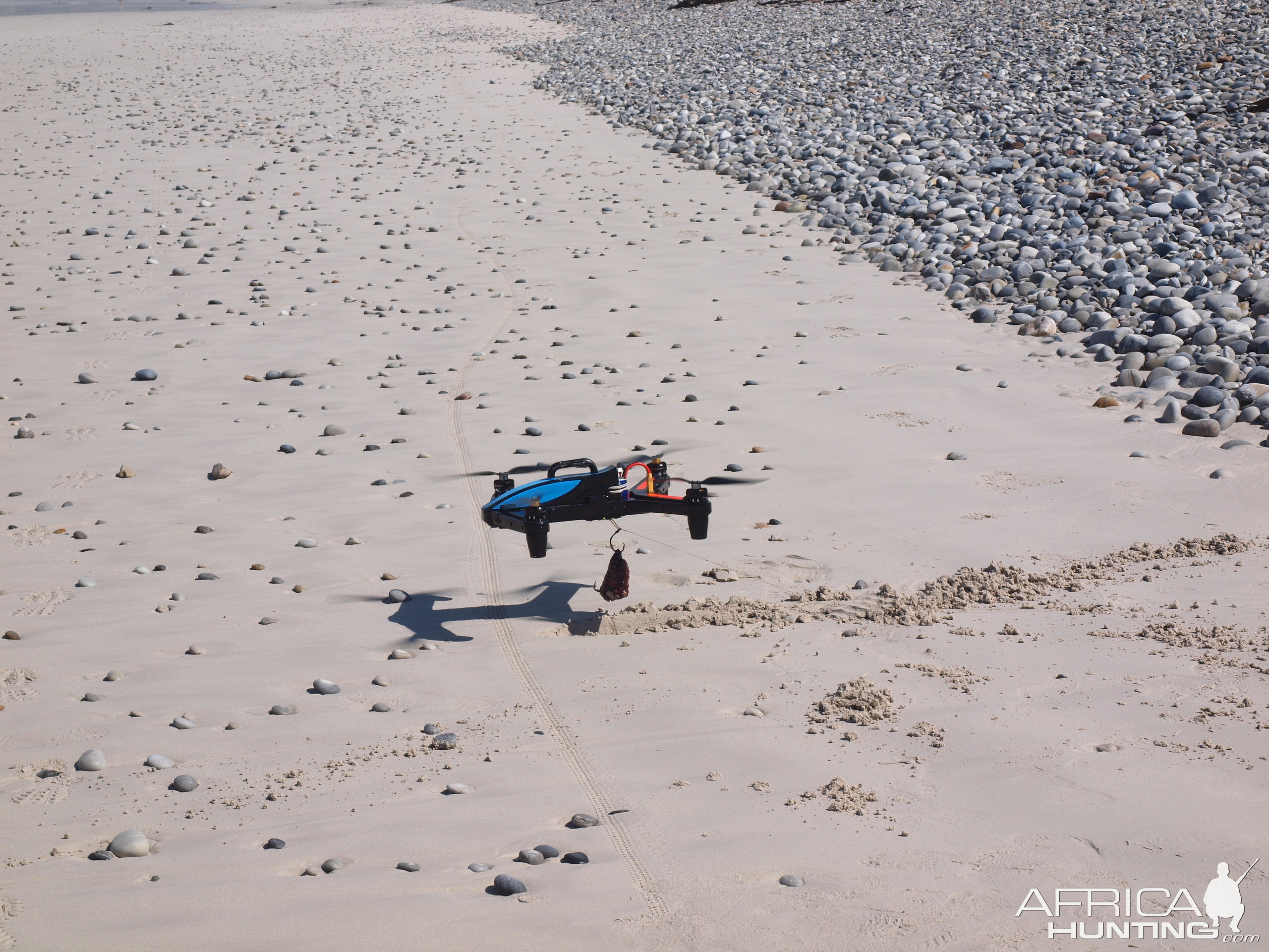 Drone-fishing for Bronze Whalers at Gansbaai, South Africa