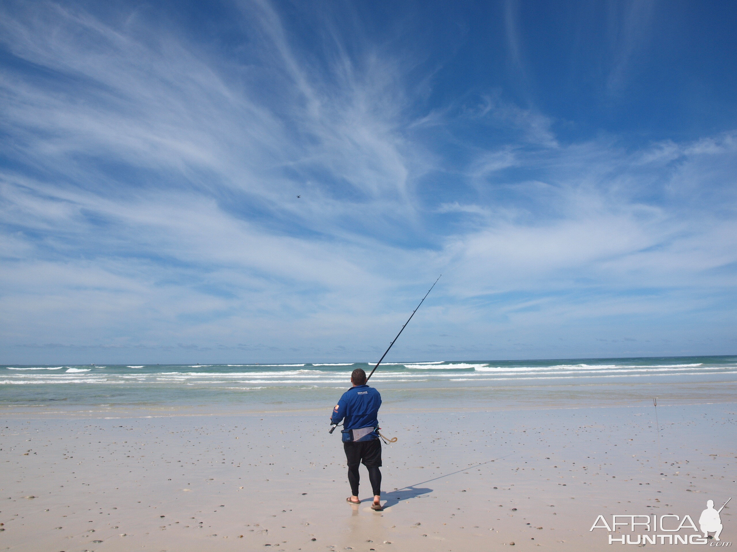 Drone-fishing for Bronze Whalers at Gansbaai, South Africa