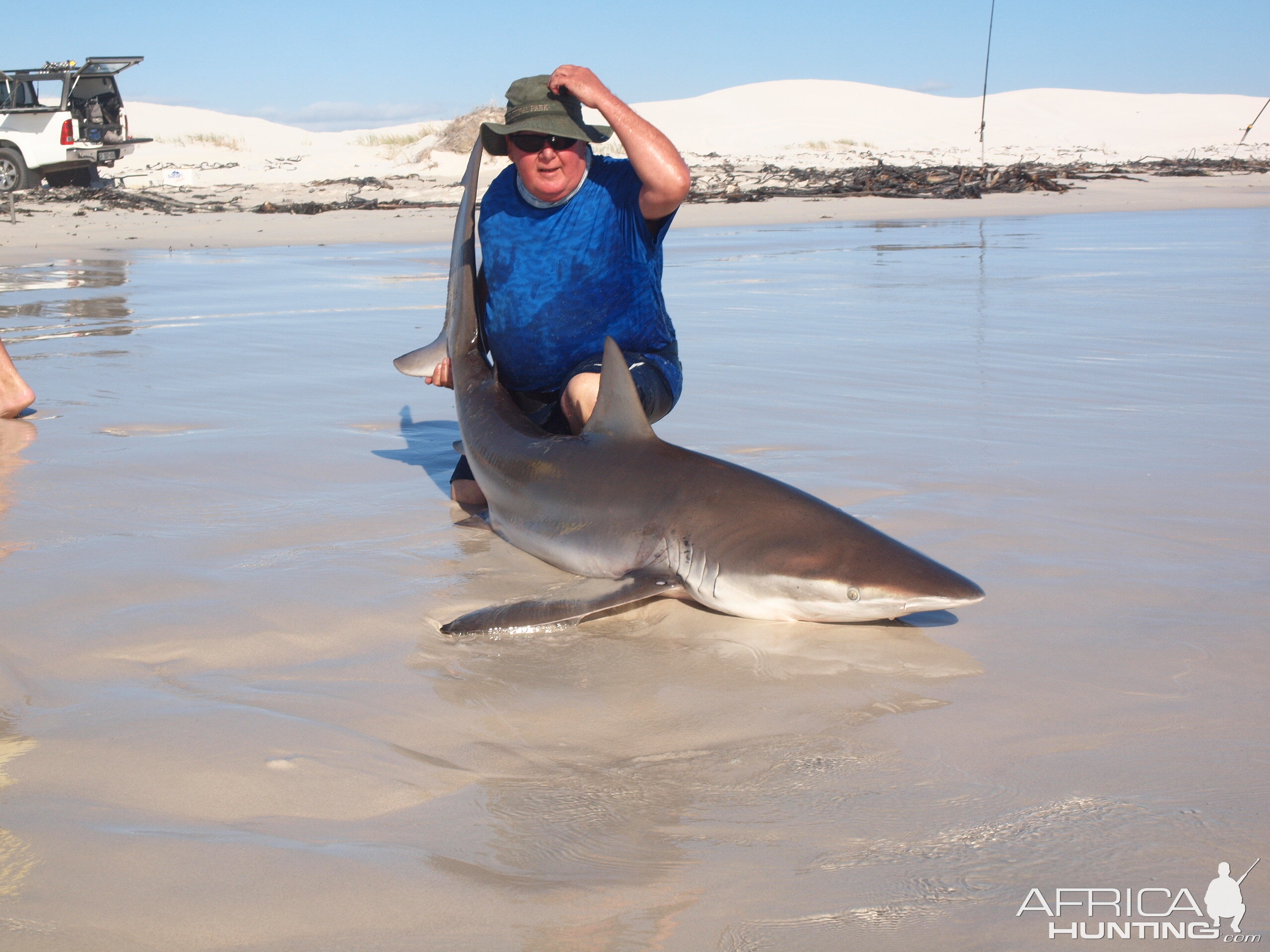 Drone-fishing for Bronze Whalers at Gansbaai, South Africa