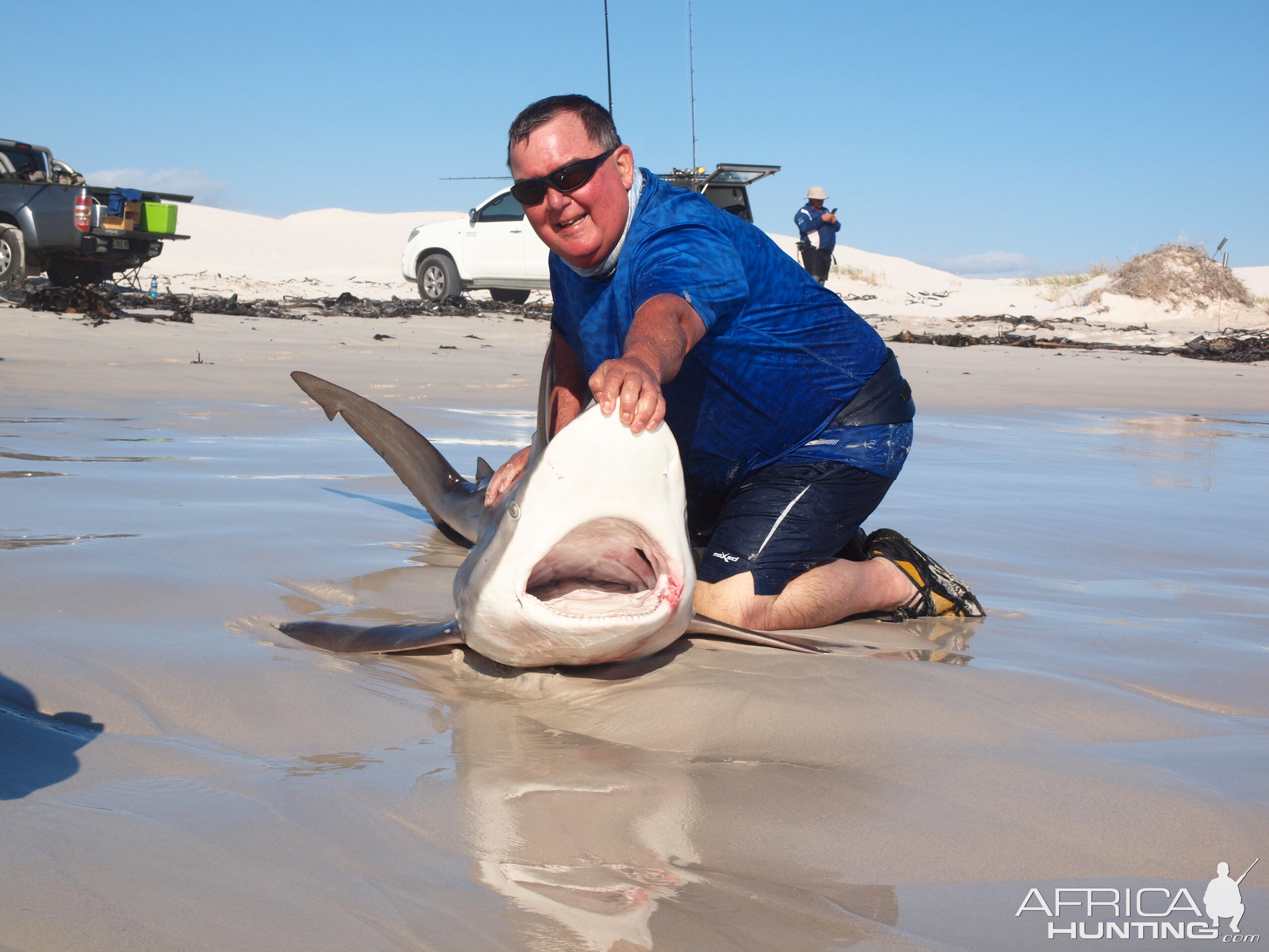 Drone-fishing for Bronze Whalers at Gansbaai, South Africa