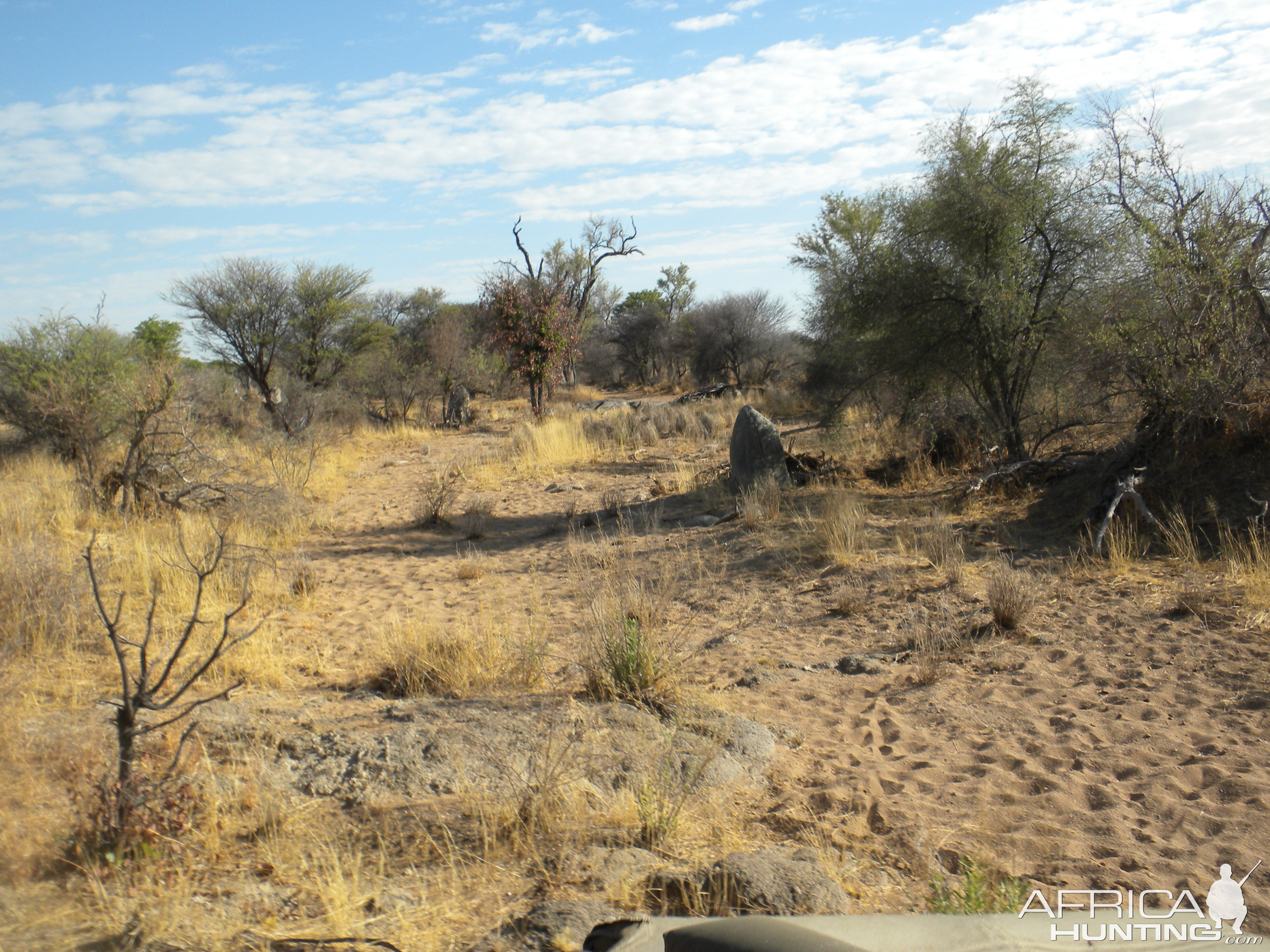 Dry riverbed Namibia