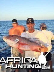 Dry Tortugas Mutton snapper