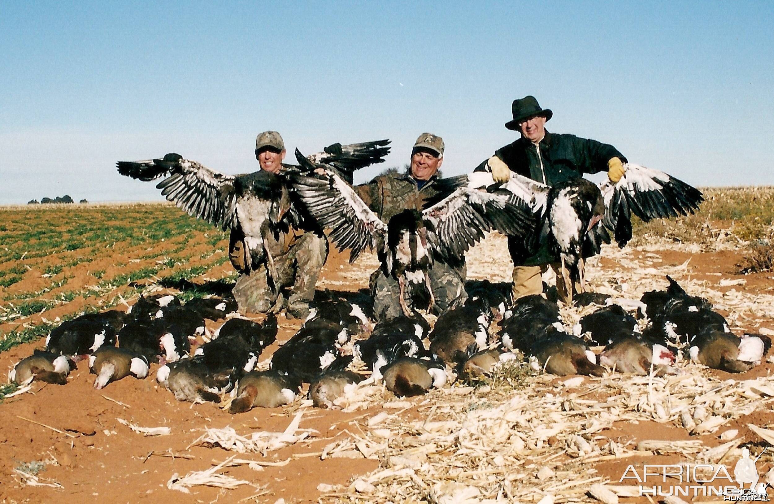 Dryland Waterfowling