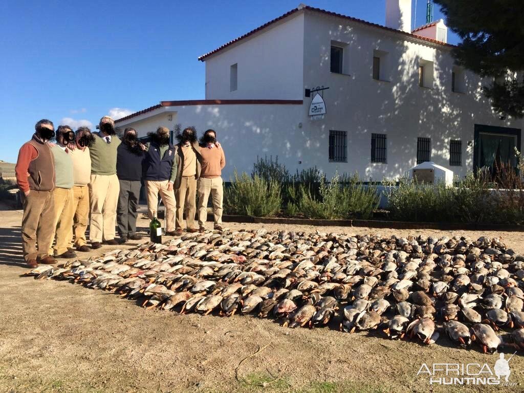 Duck Hunt in Spain