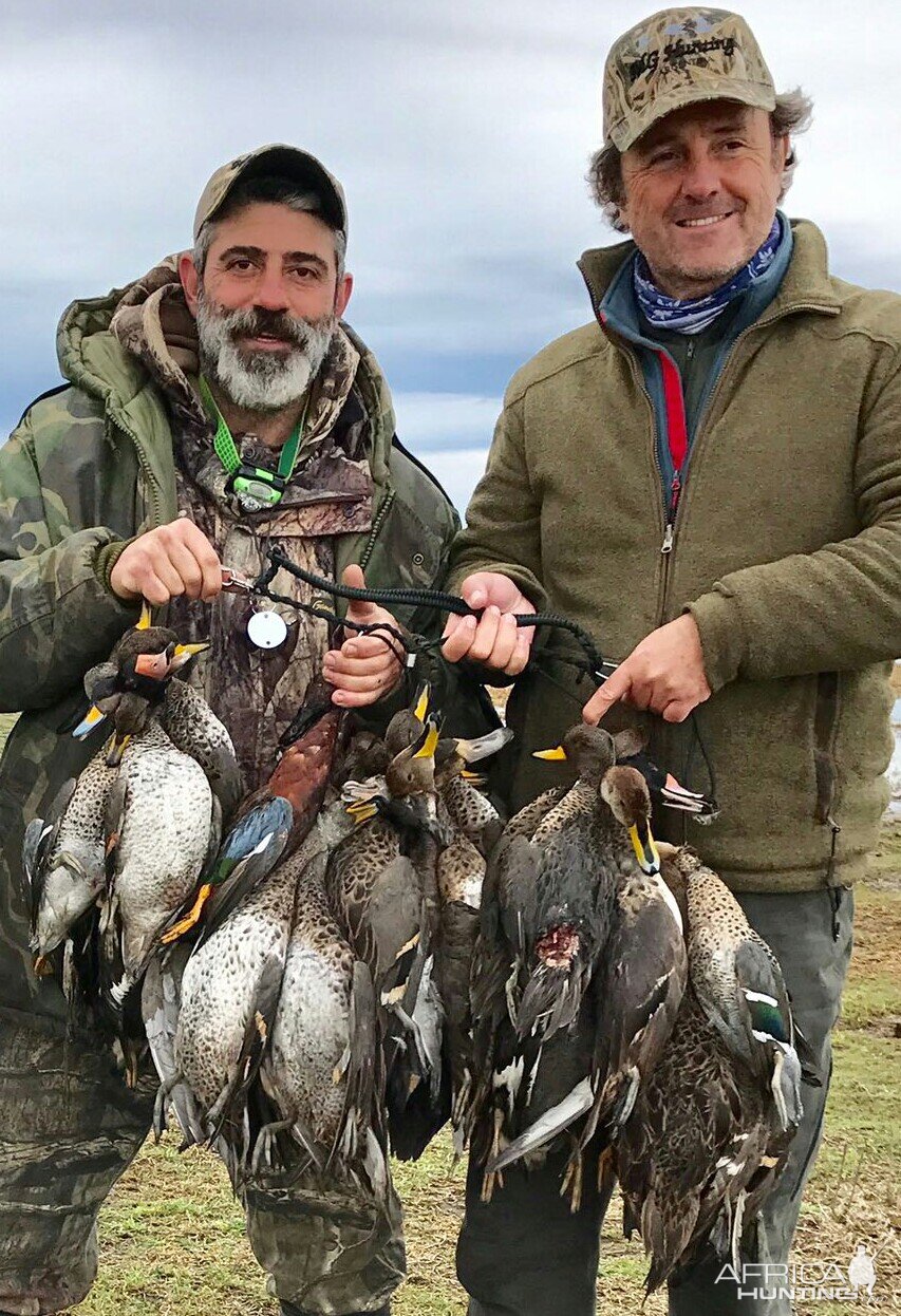 Duck Hunting Argentina