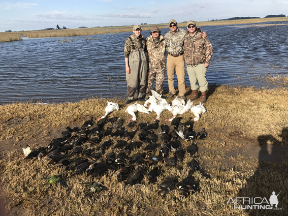 Duck Hunting Argentina