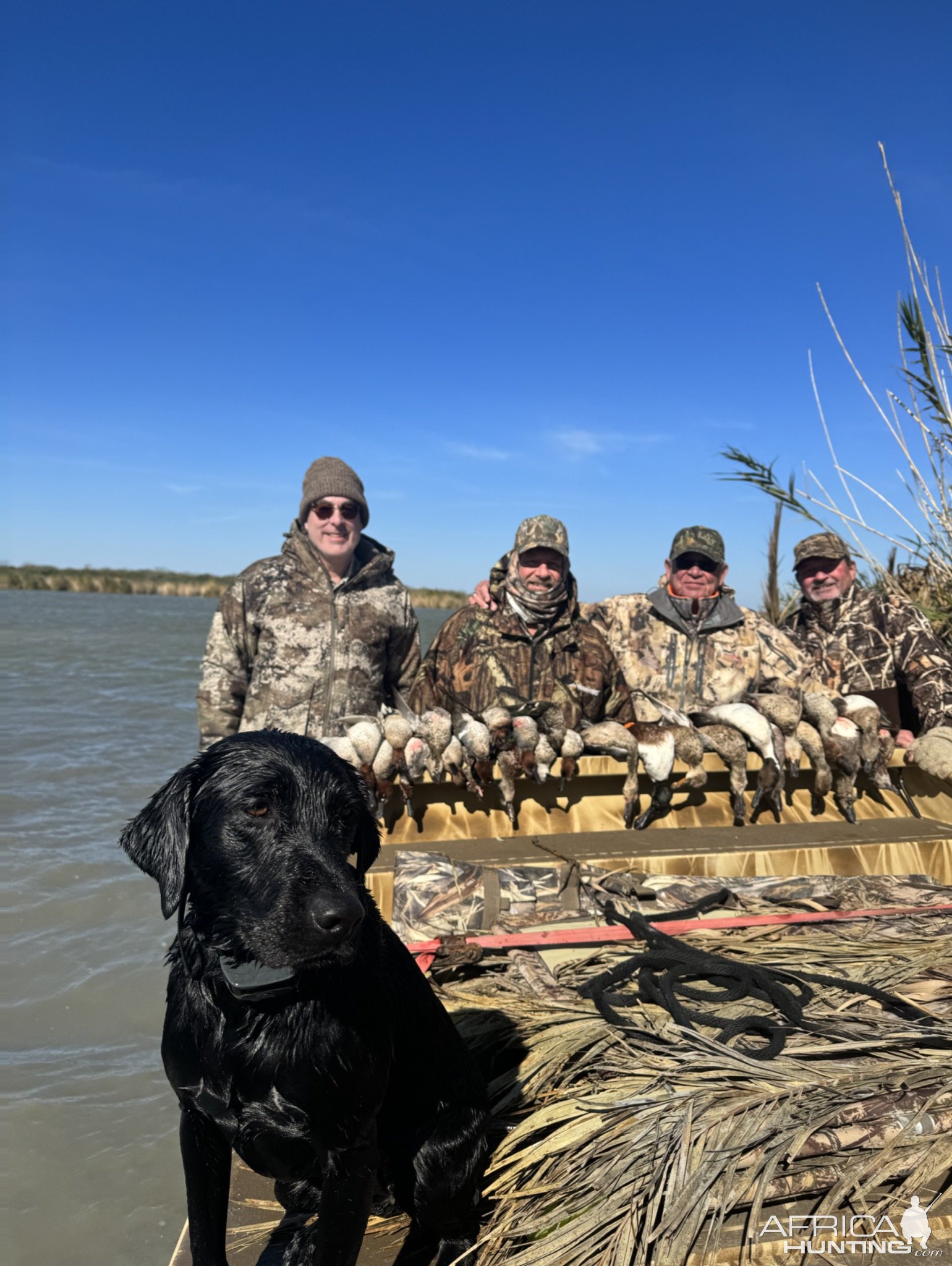 Duck Hunting Texas