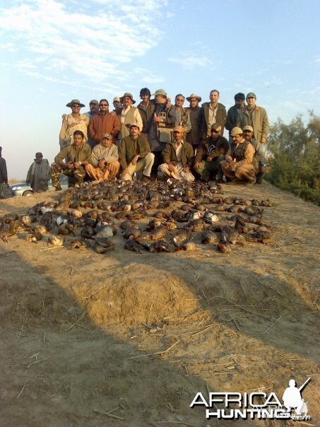 Duck Shoot in Pakistan