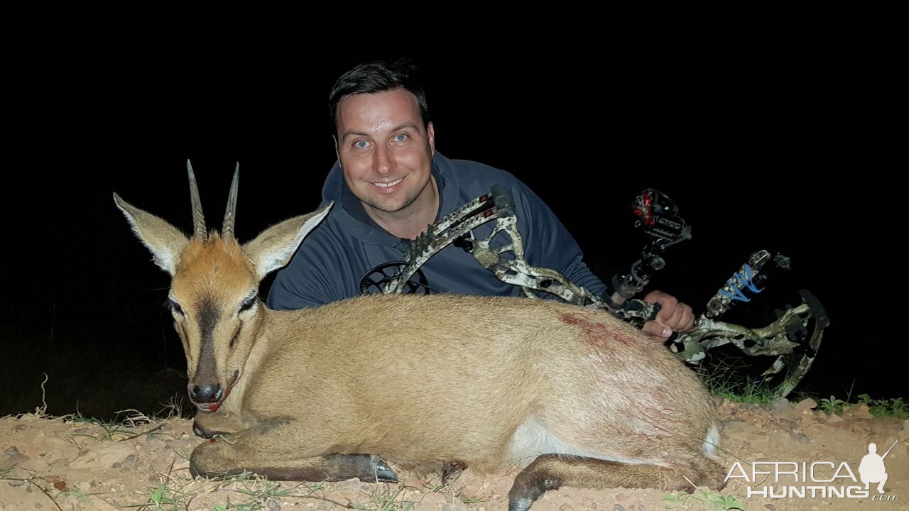 Duiker Bow Hunt in South Africa