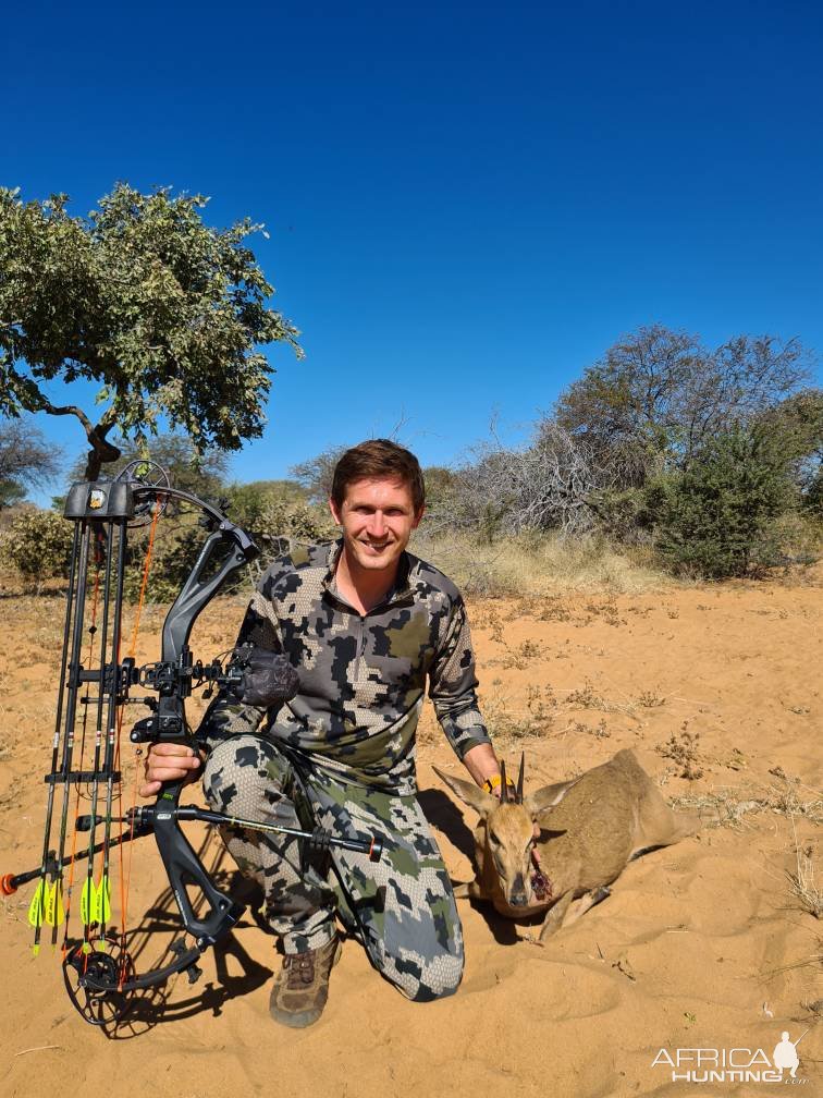 Duiker Bow Hunting Namibia