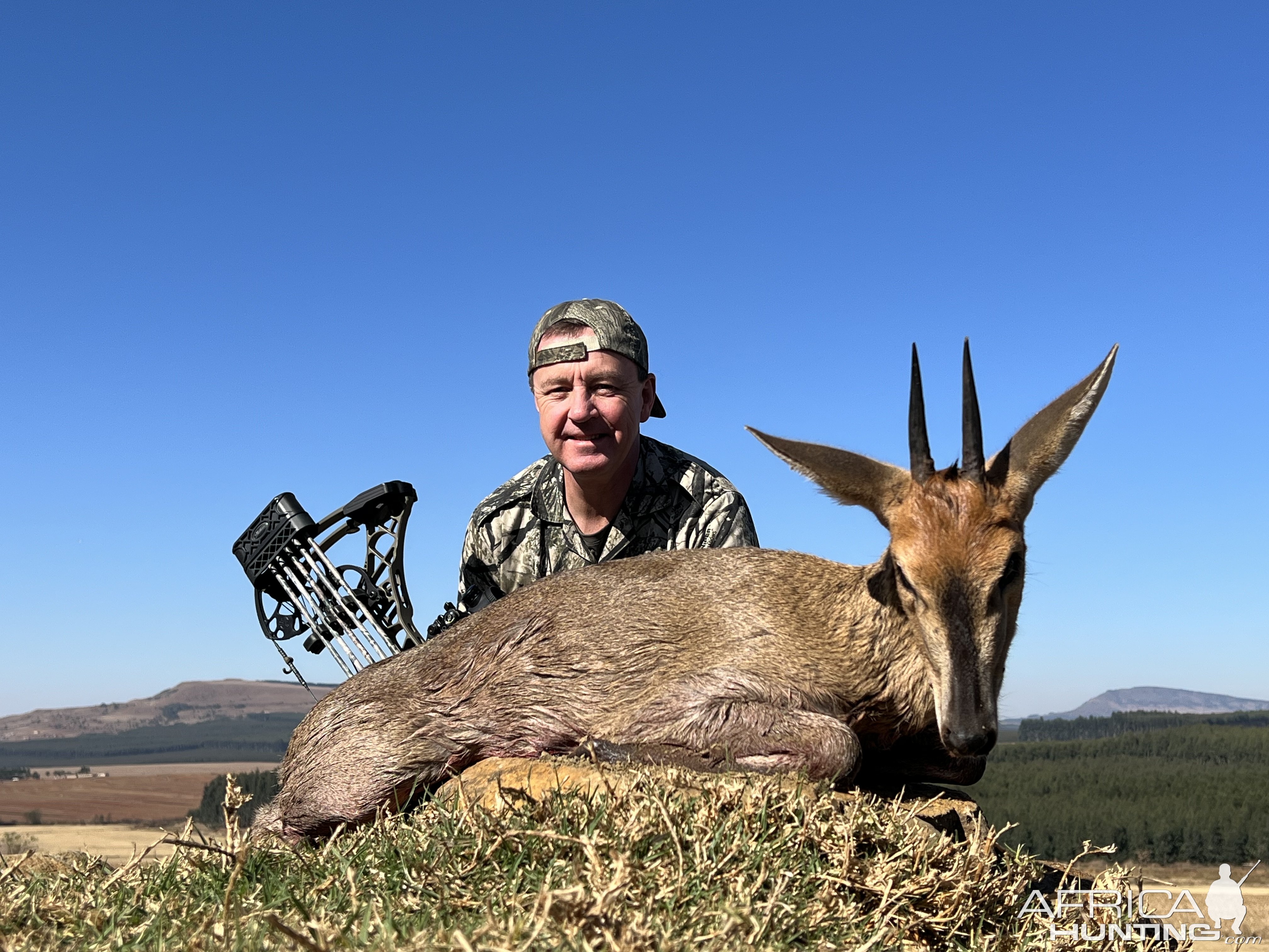 Duiker Bow Hunting South Africa