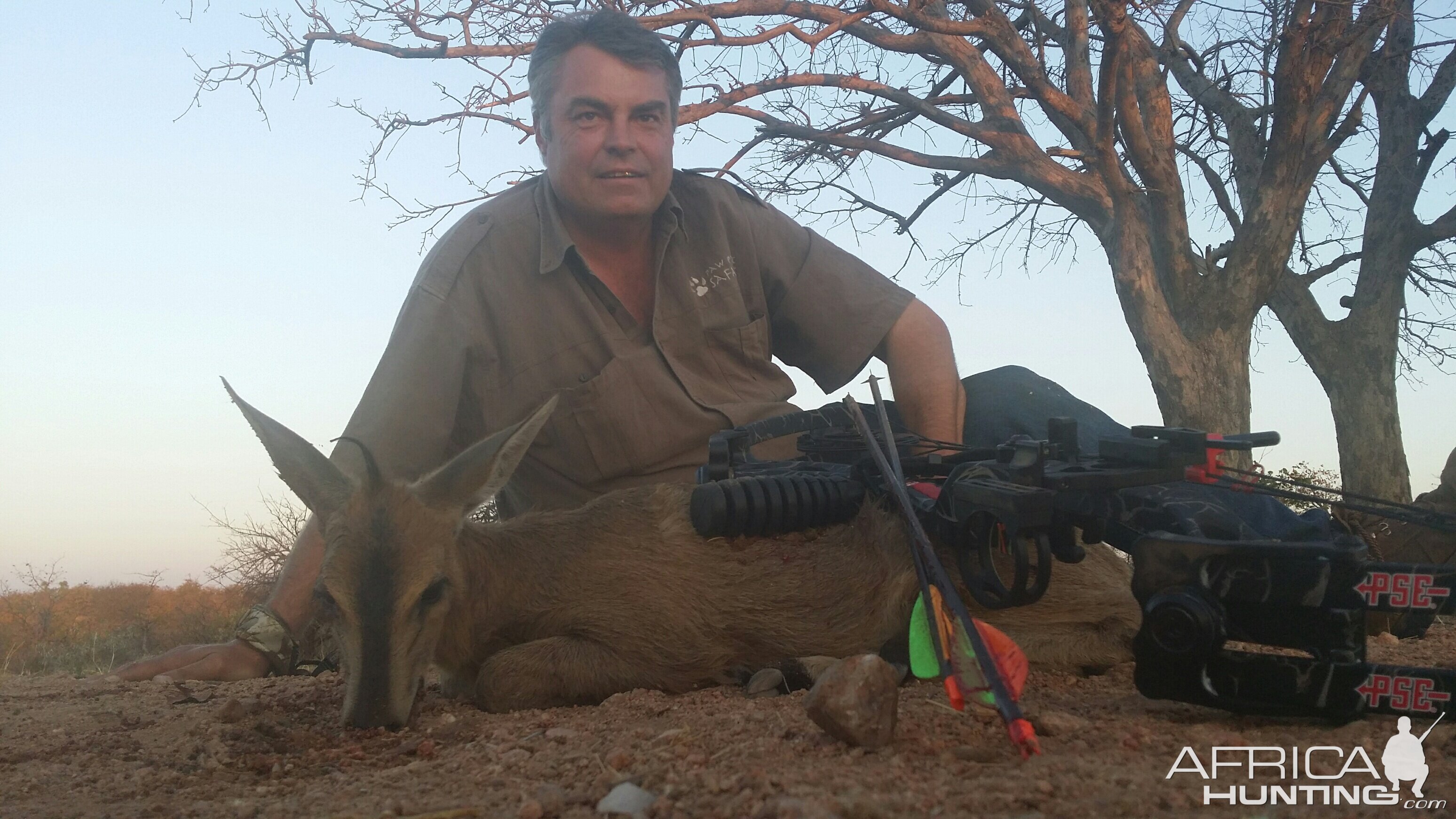 Duiker Bow Hunting South Africa