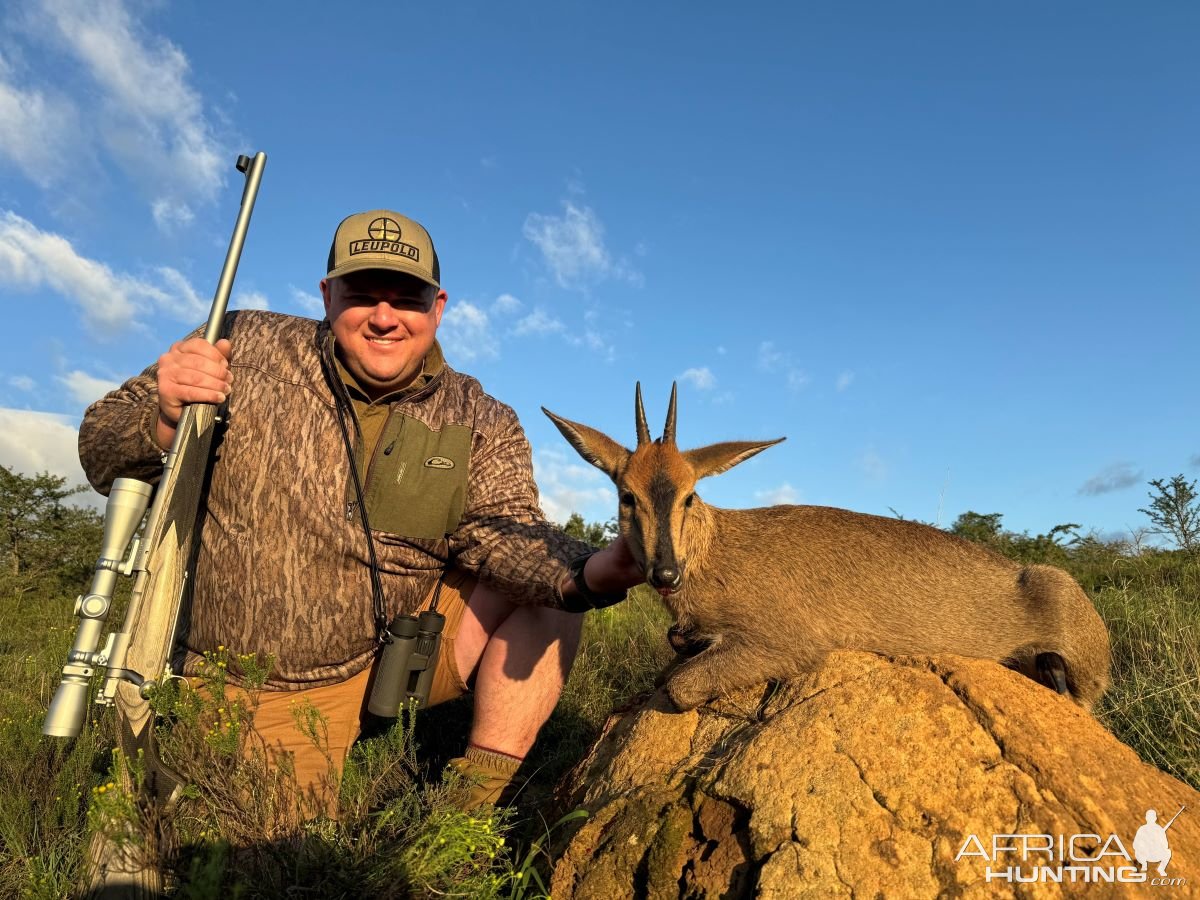 Duiker Hunt Eastern Cape South Africa