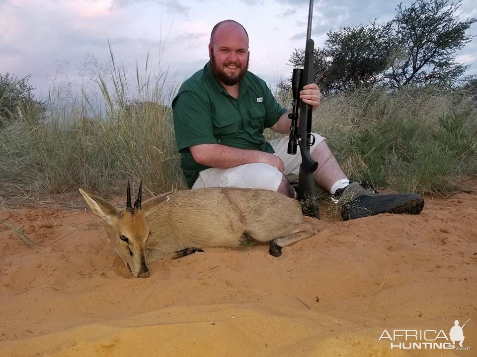 Duiker Hunt Kalahari South Africa