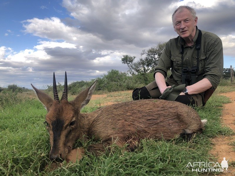 Duiker Hunt Karoo South Africa