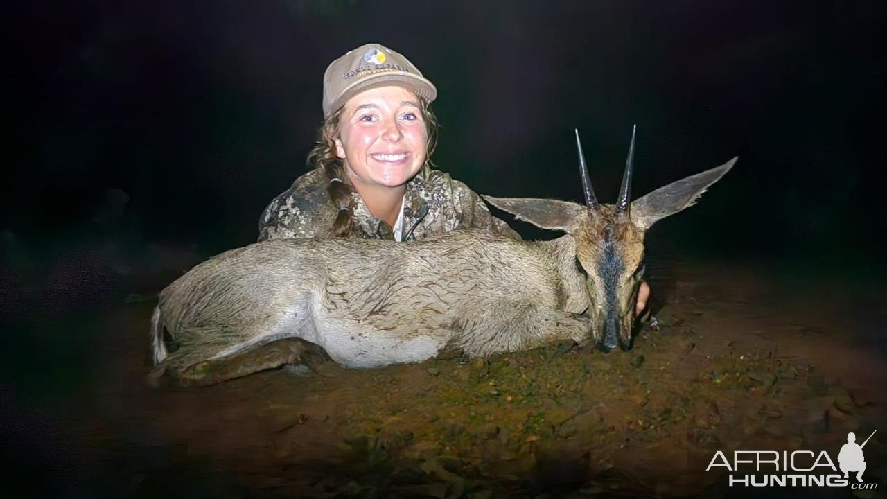 Duiker Hunt KwaZulu-Natal South Africa