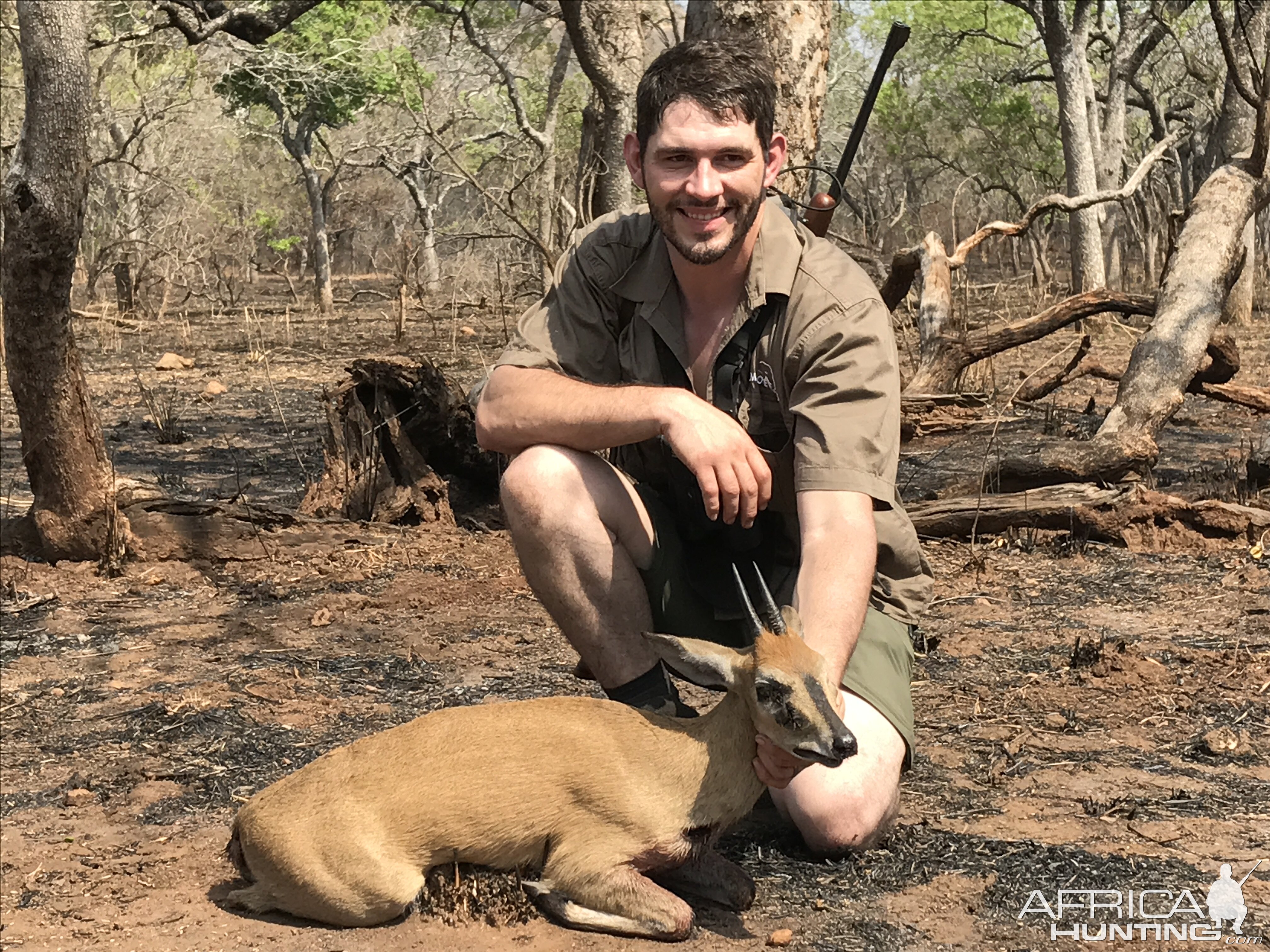 Duiker Hunt Mozambique