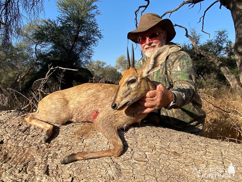 Duiker Hunt Namibia