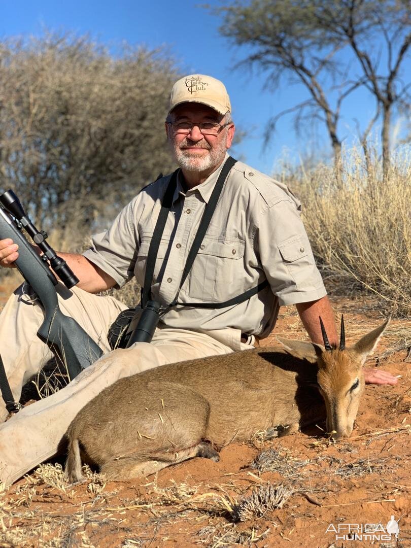 Duiker Hunt Namibia