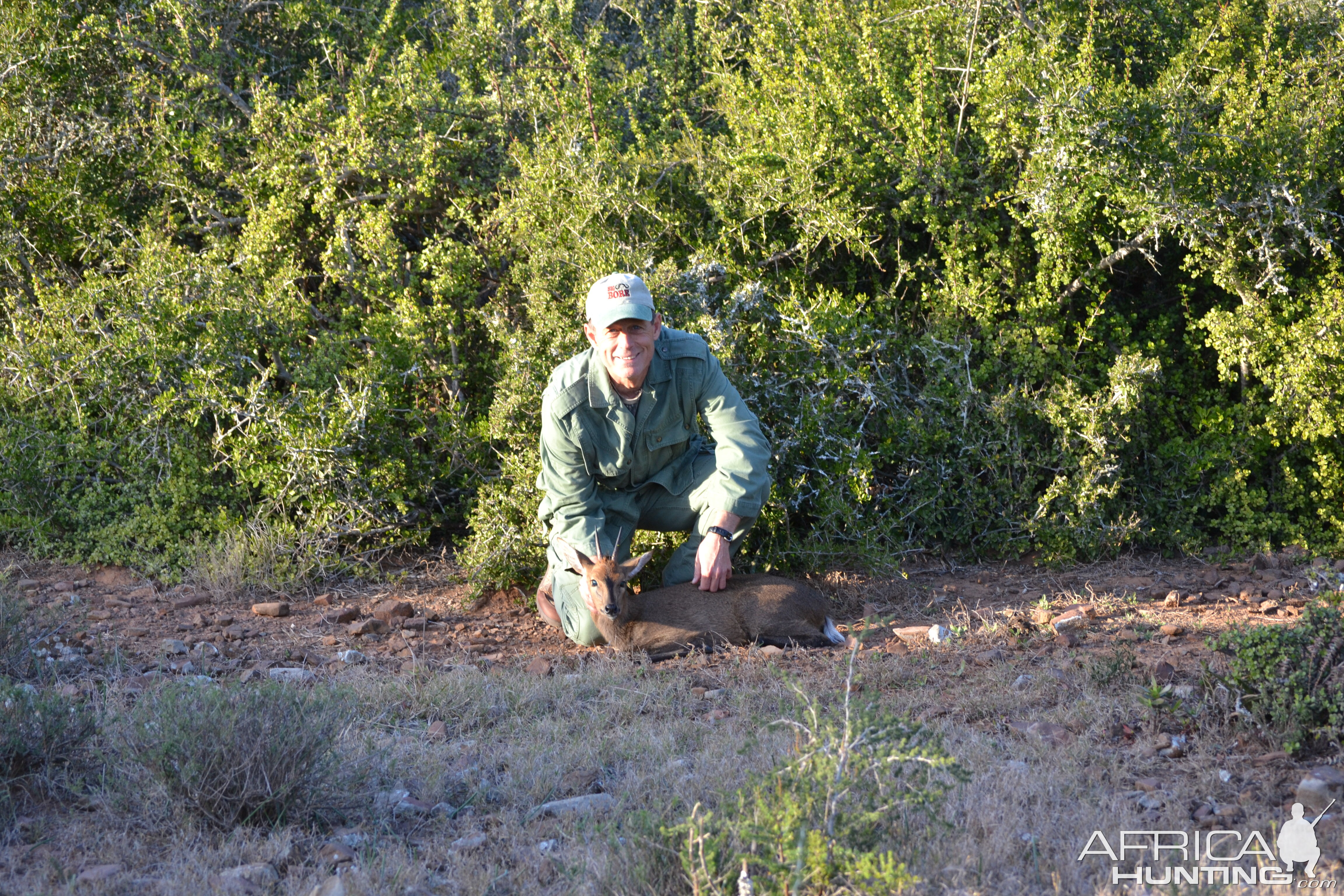 Duiker Hunt South Africa