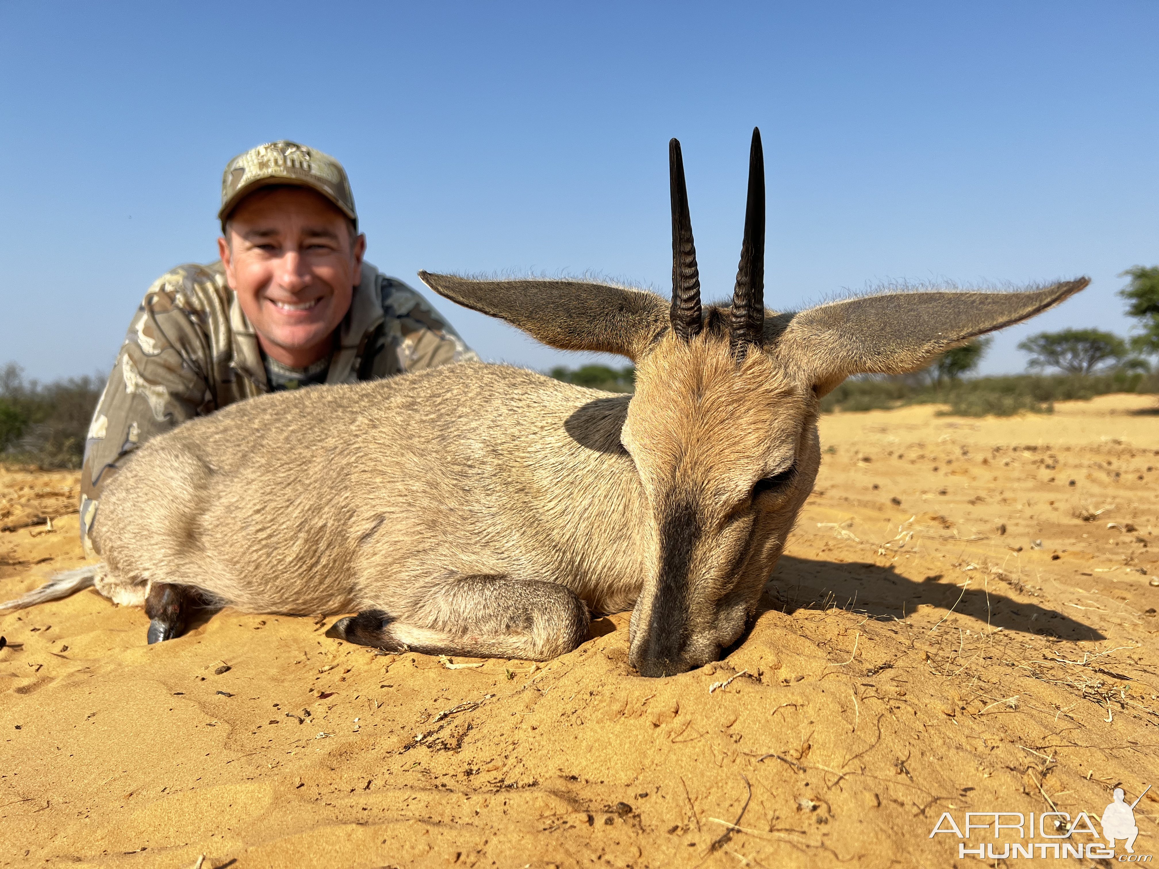 Duiker Hunt South Africa