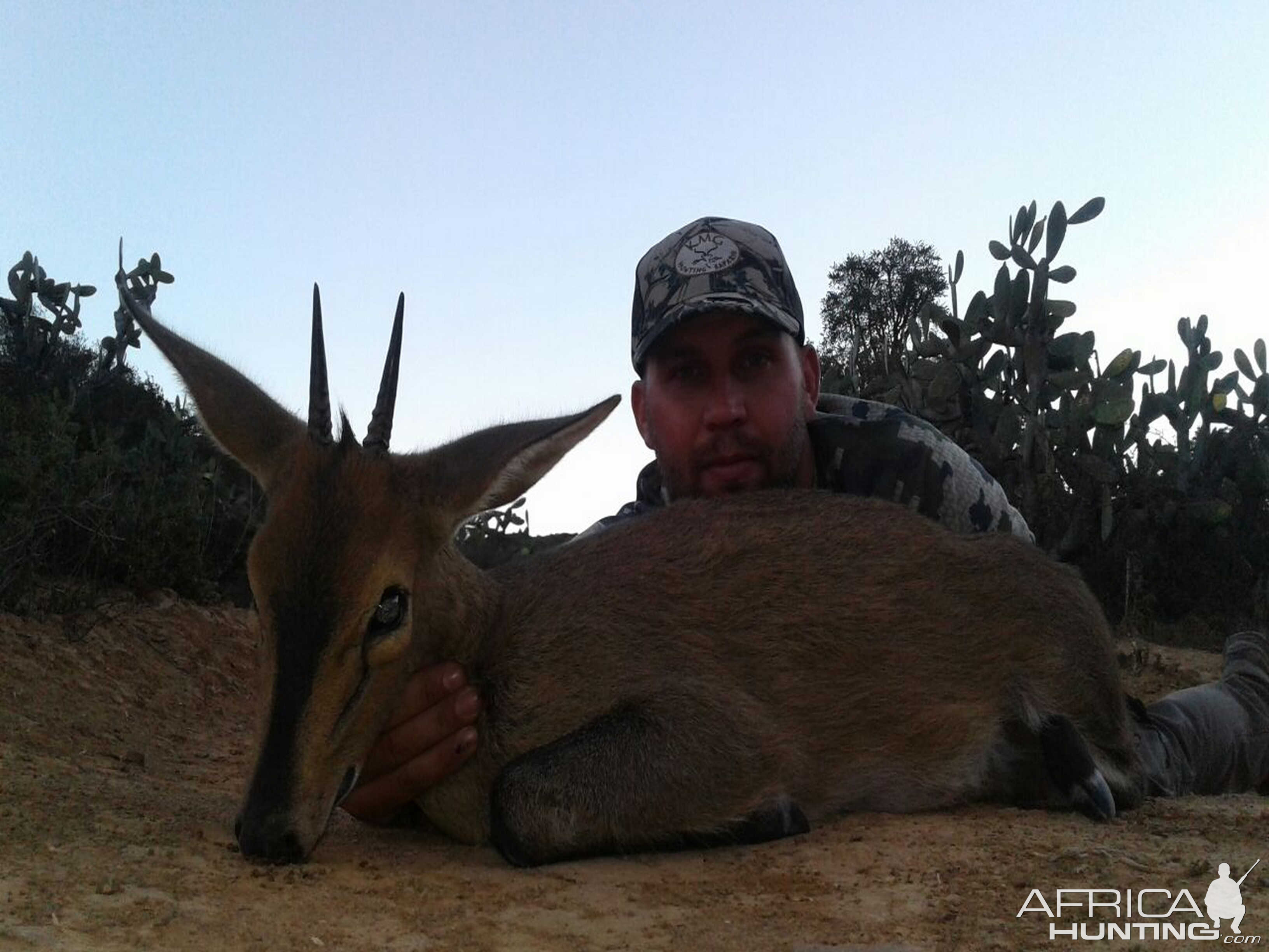 Duiker Hunt South Africa