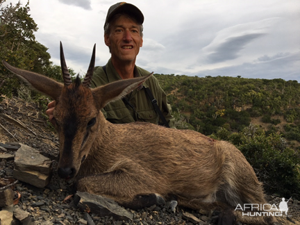 Duiker Hunt South Africa