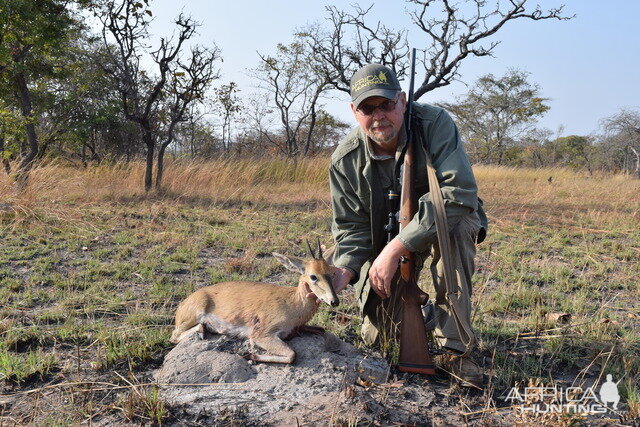 Duiker Hunt Tanzania