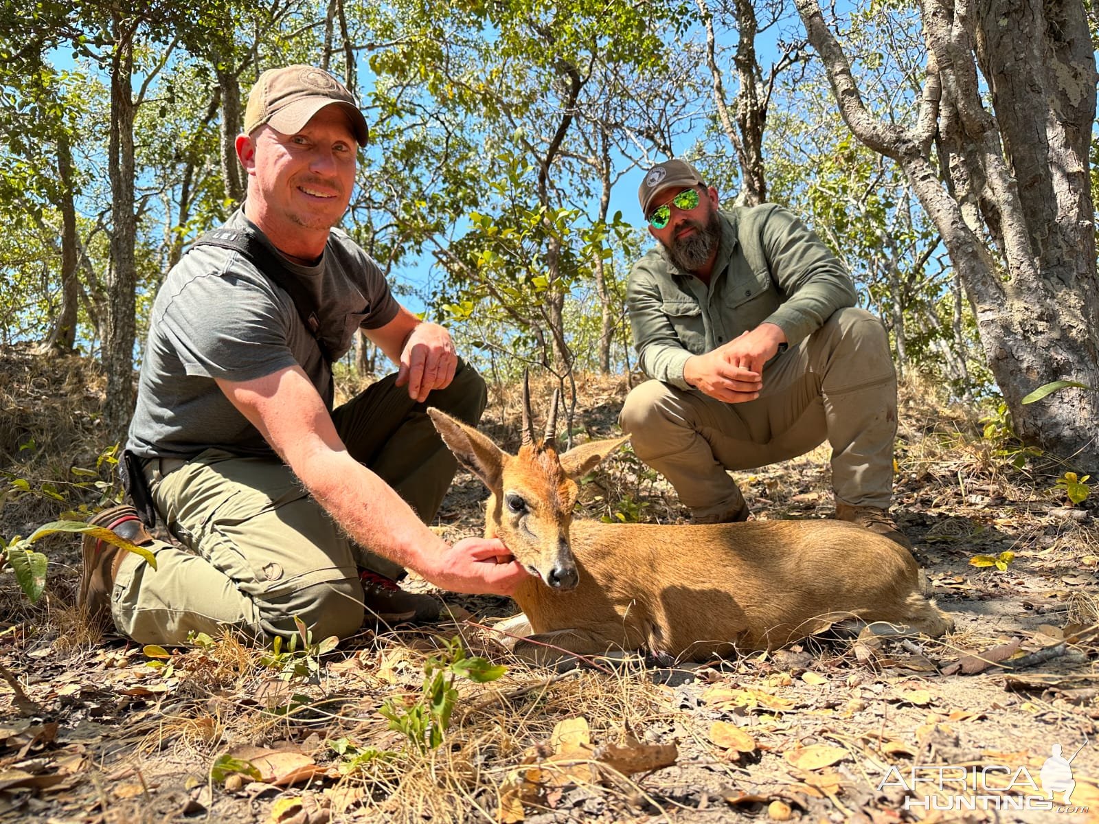 Duiker Hunt Zambia