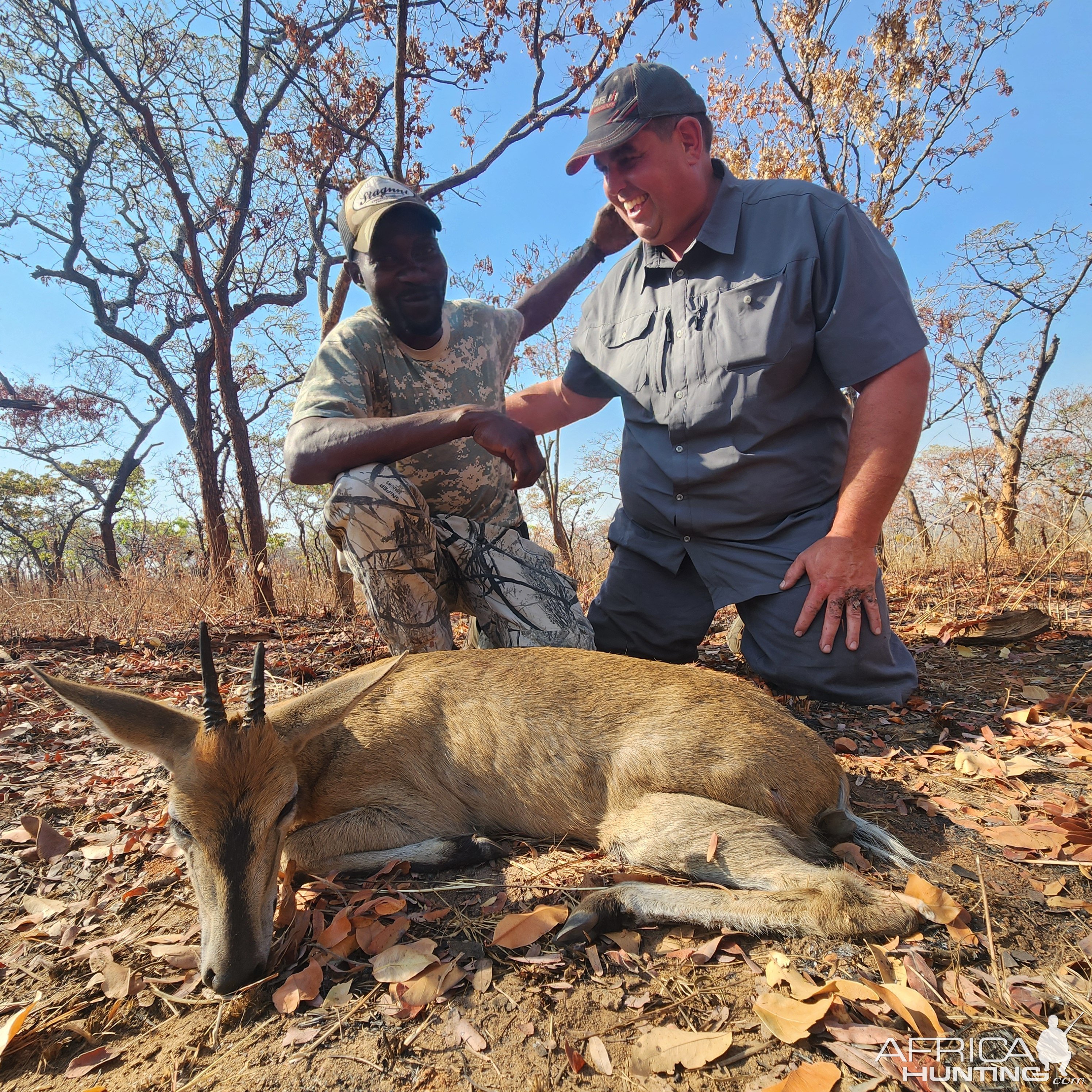 Duiker Hunt Zimbabwe