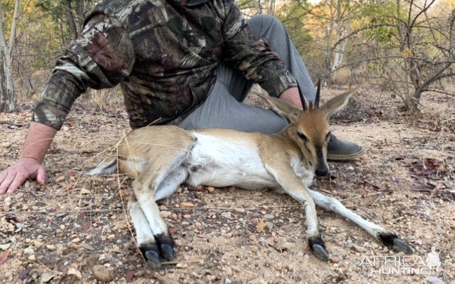 Duiker Hunt Zimbabwe