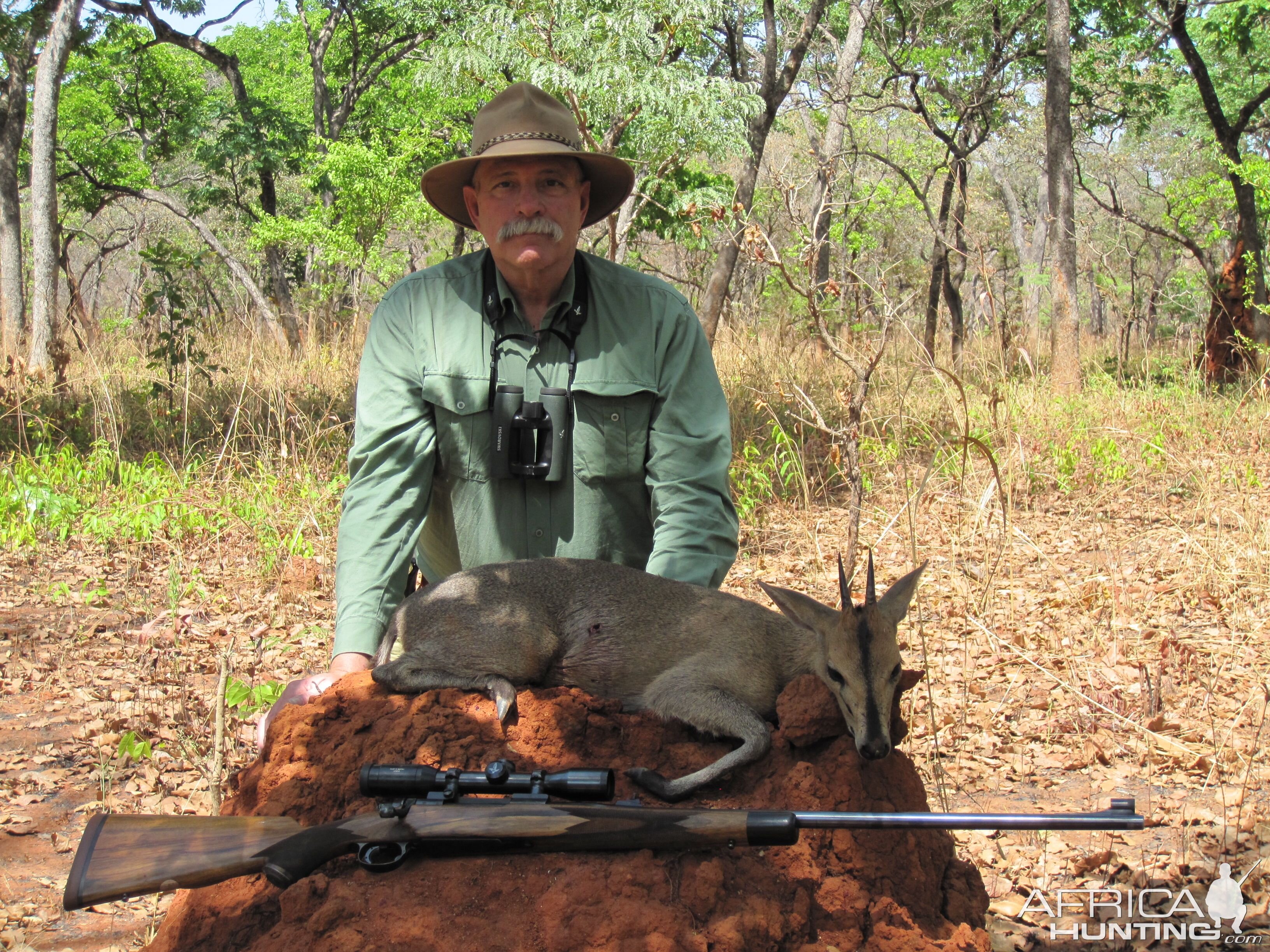 Duiker hunted in Central Africa with Club Faune