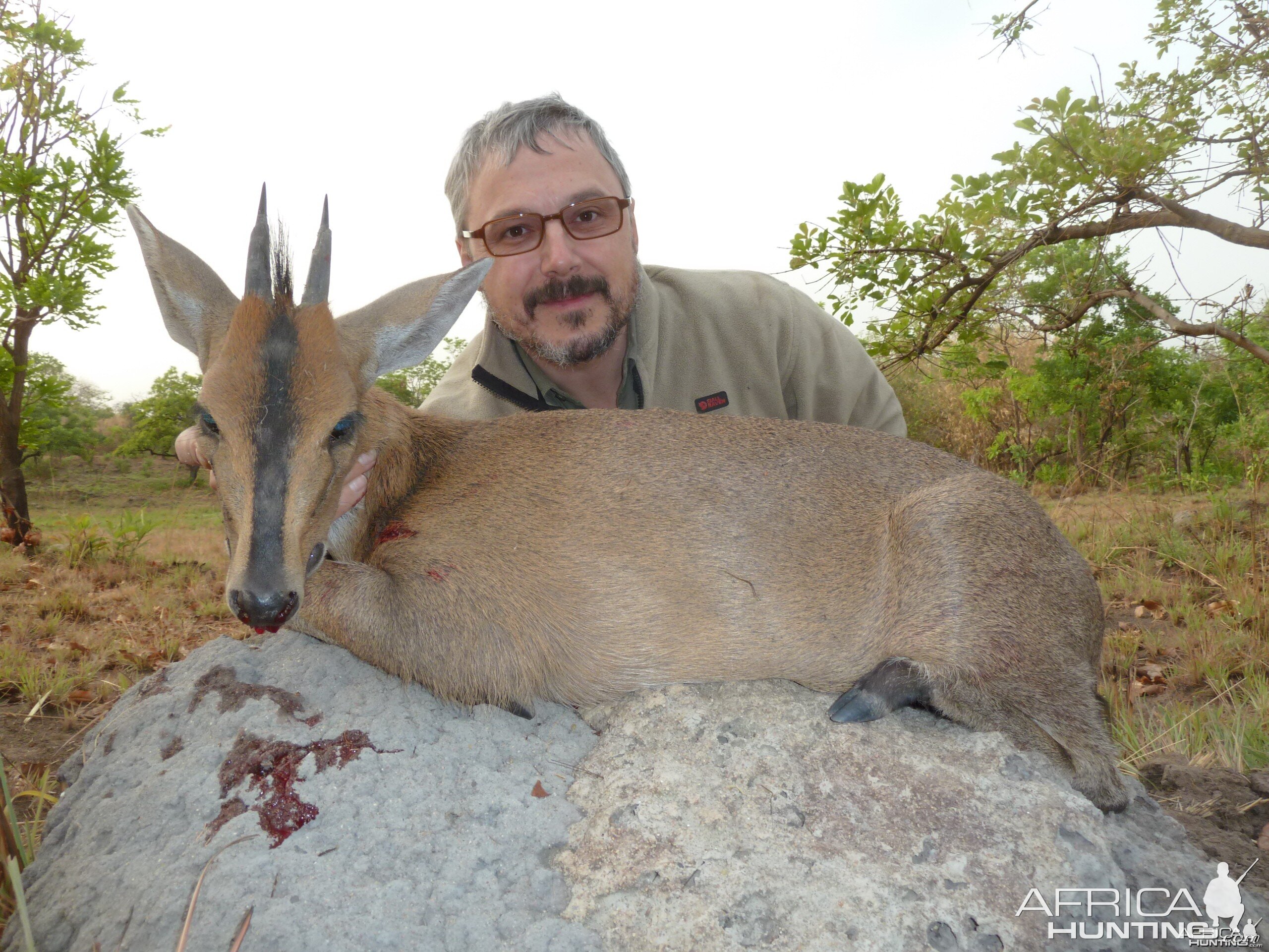 Duiker hunted in Central Africa with Club Faune