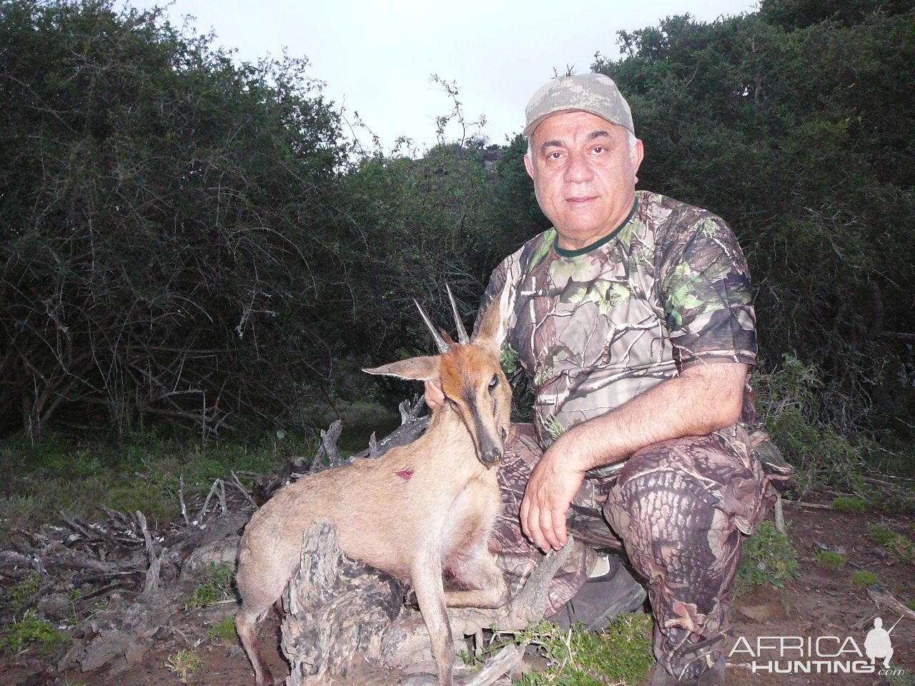 Duiker Hunting in South Africa