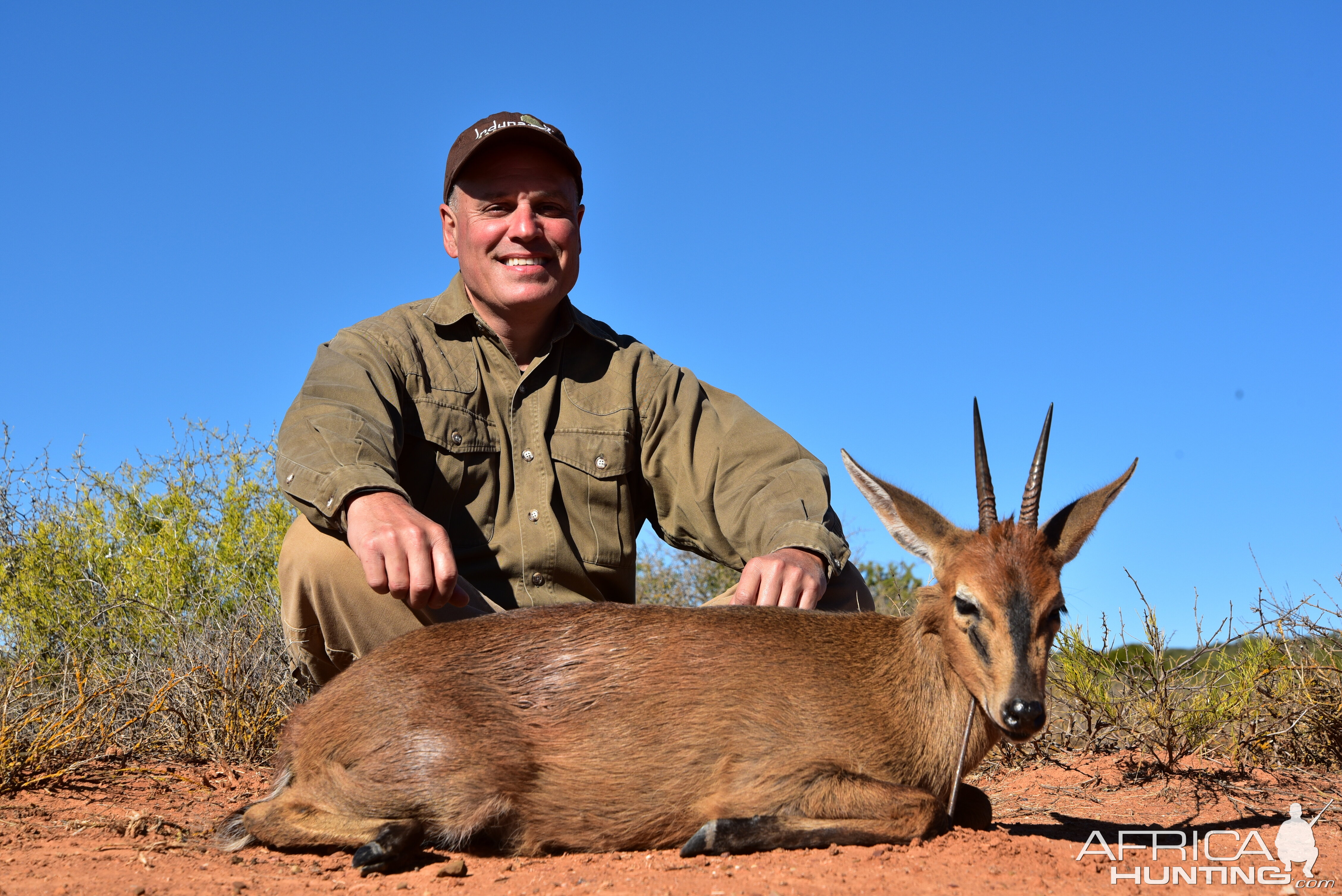 Duiker Hunting in South Africa