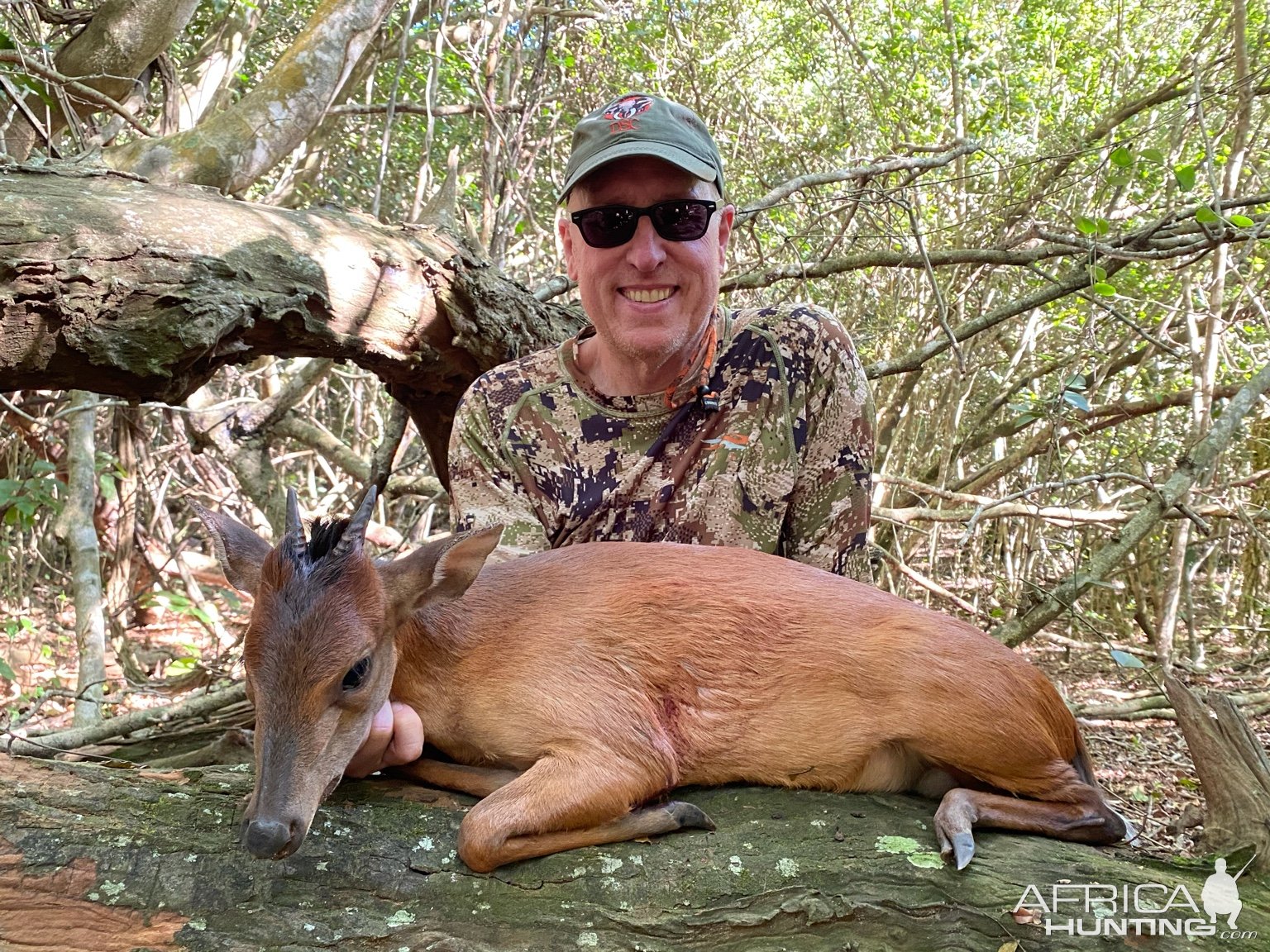 Duiker Hunting Limpopo South Africa