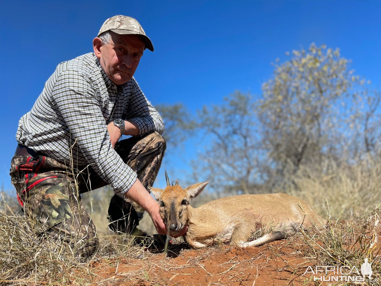 Duiker Hunting Limpopo South Africa