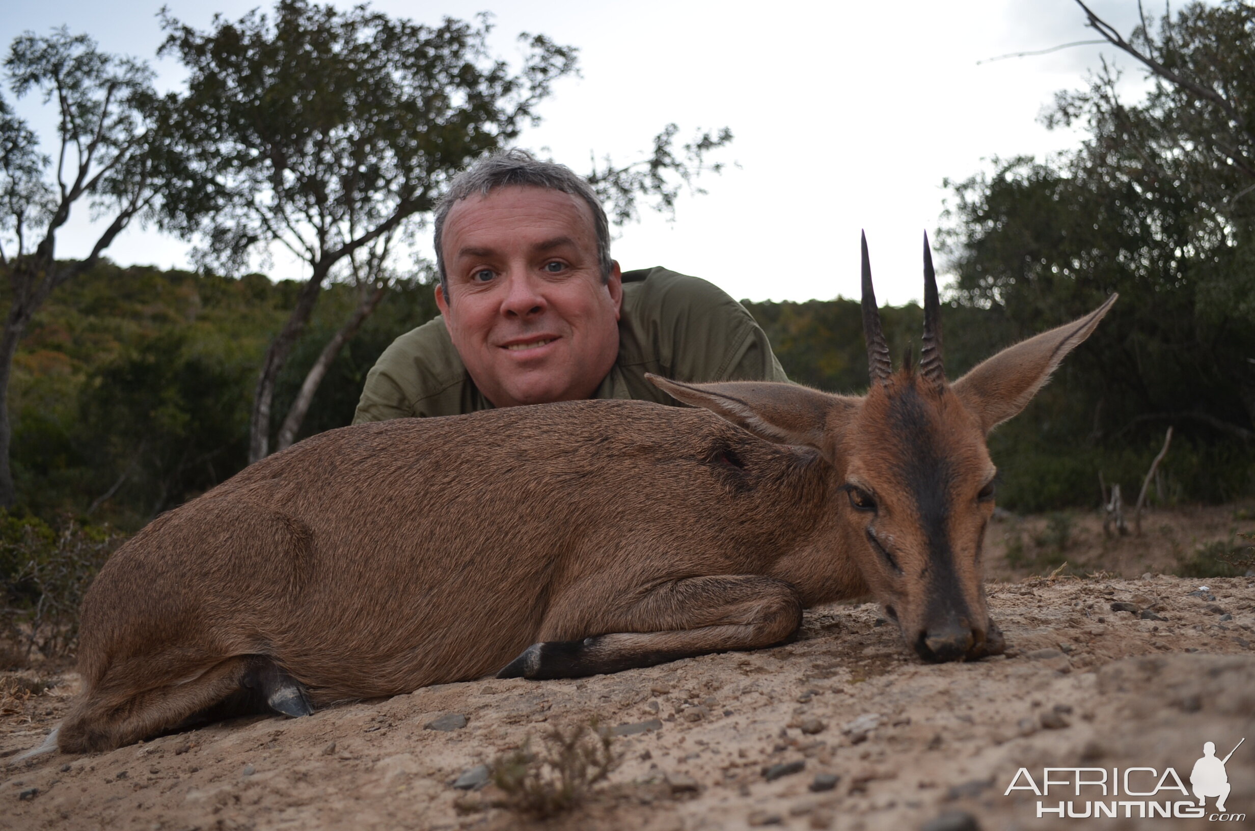 Duiker Hunting South Africa