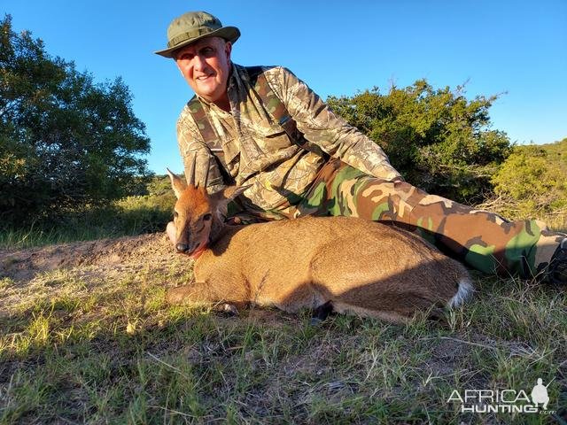 Duiker Hunting South Africa