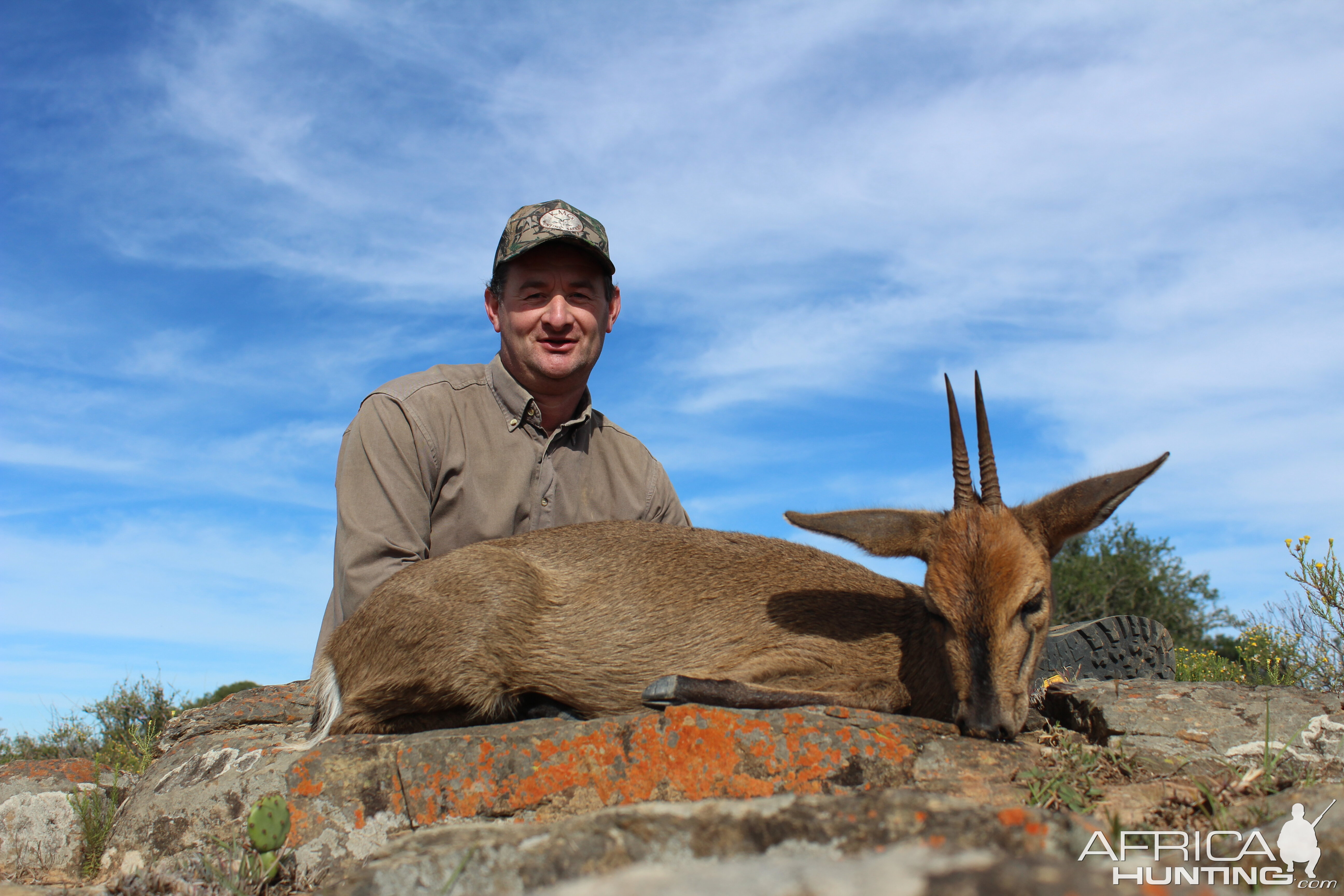 Duiker Hunting South Africa