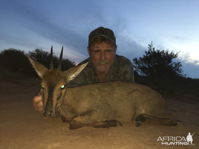 Duiker Hunting South Africa